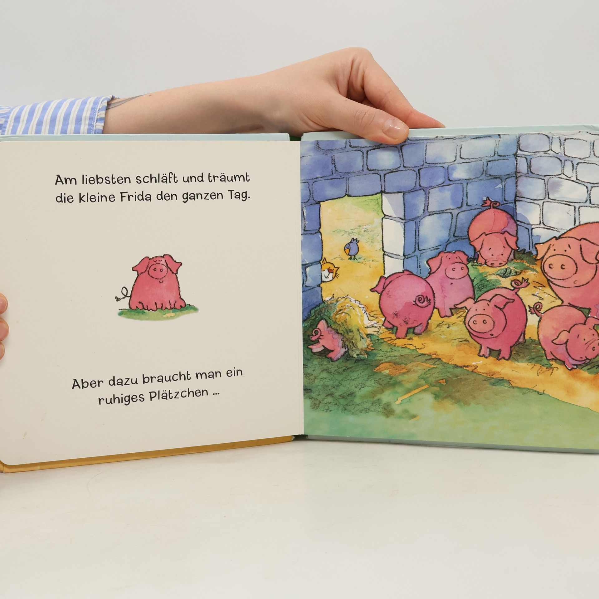Collectif d'auteurs Frida, das Ferkel