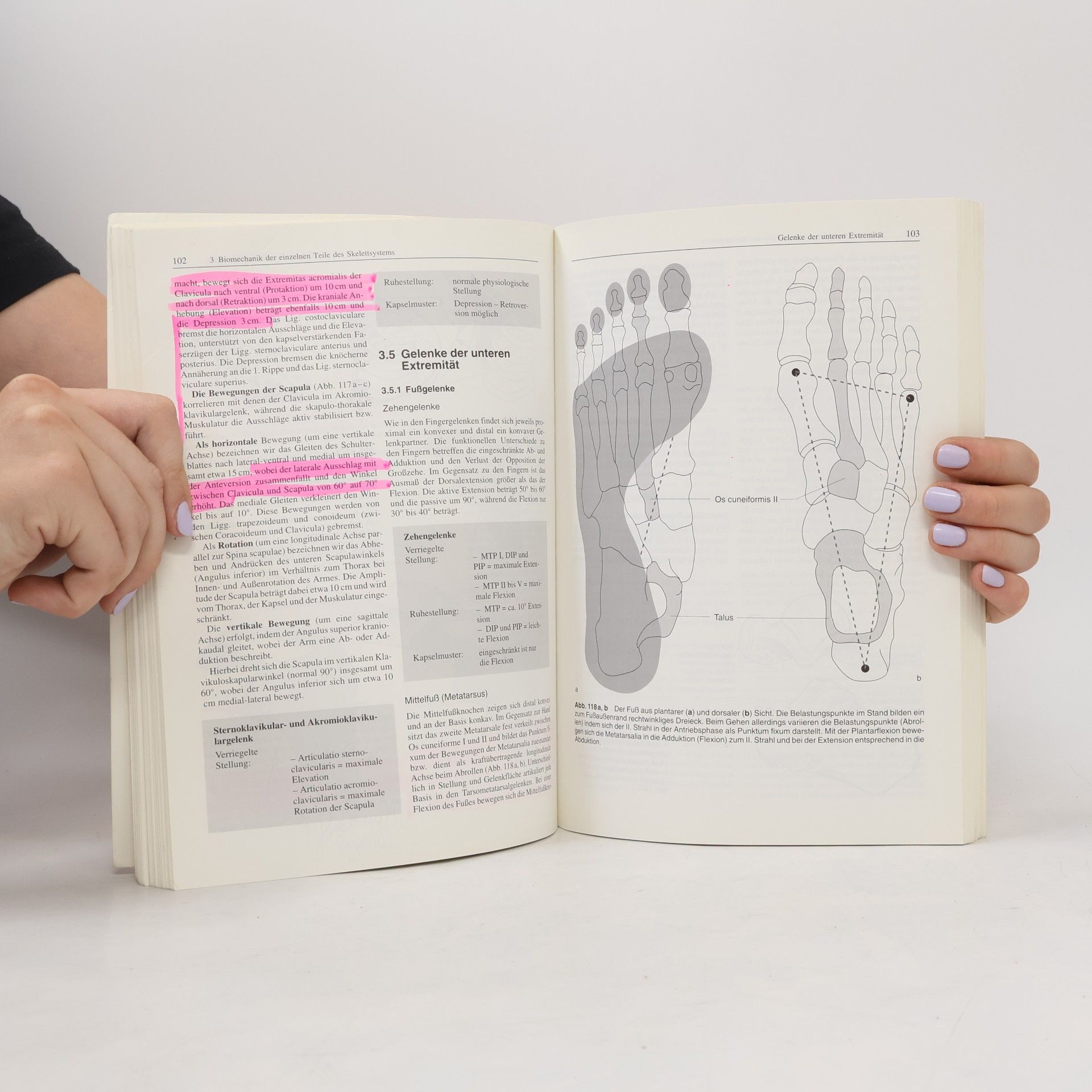 Alf Anso Brokmeier Manuelle Therapie