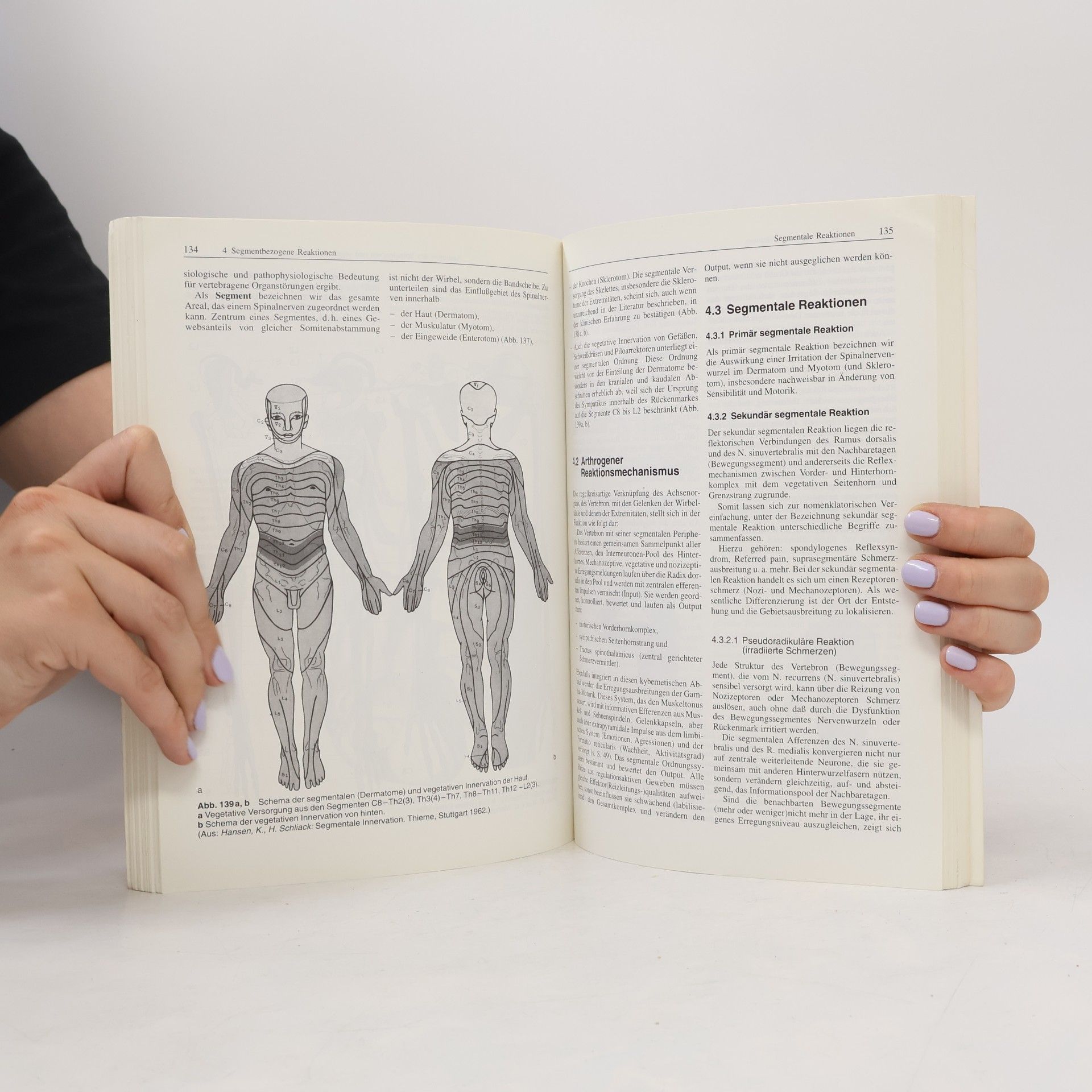Alf Anso Brokmeier Manuelle Therapie