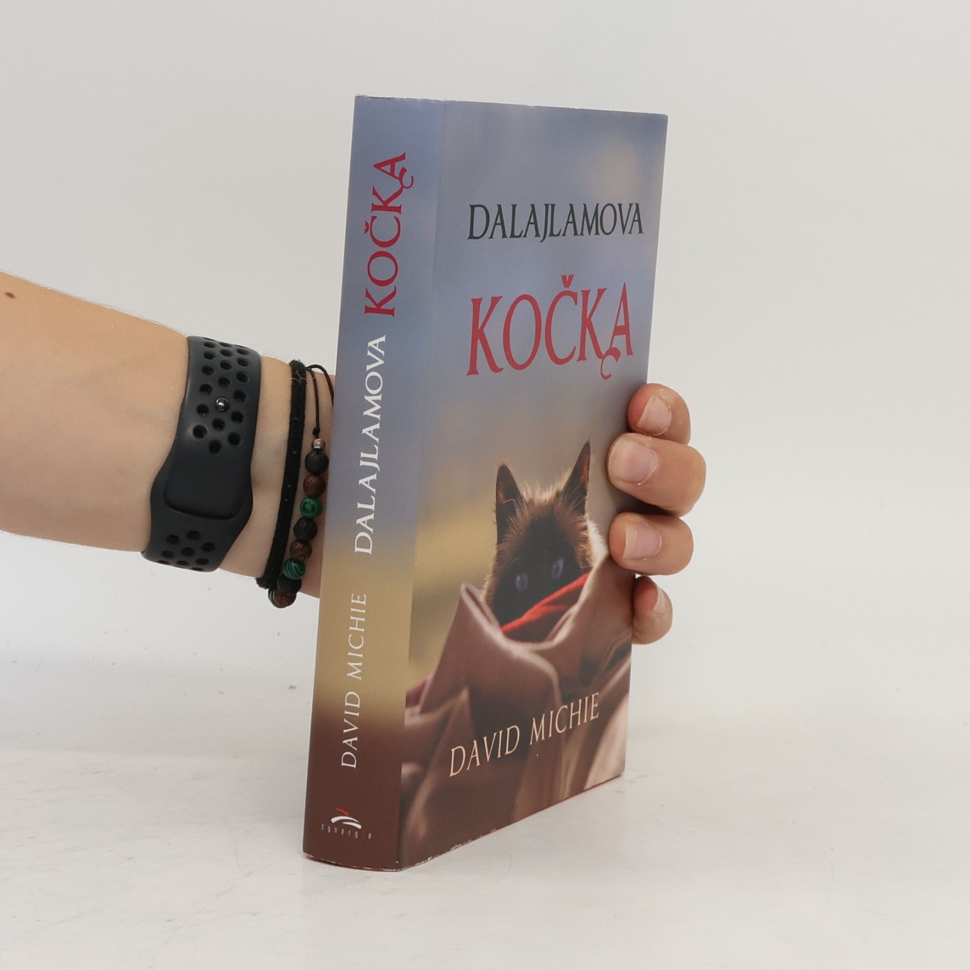 David Michie Dalajlamova kočka