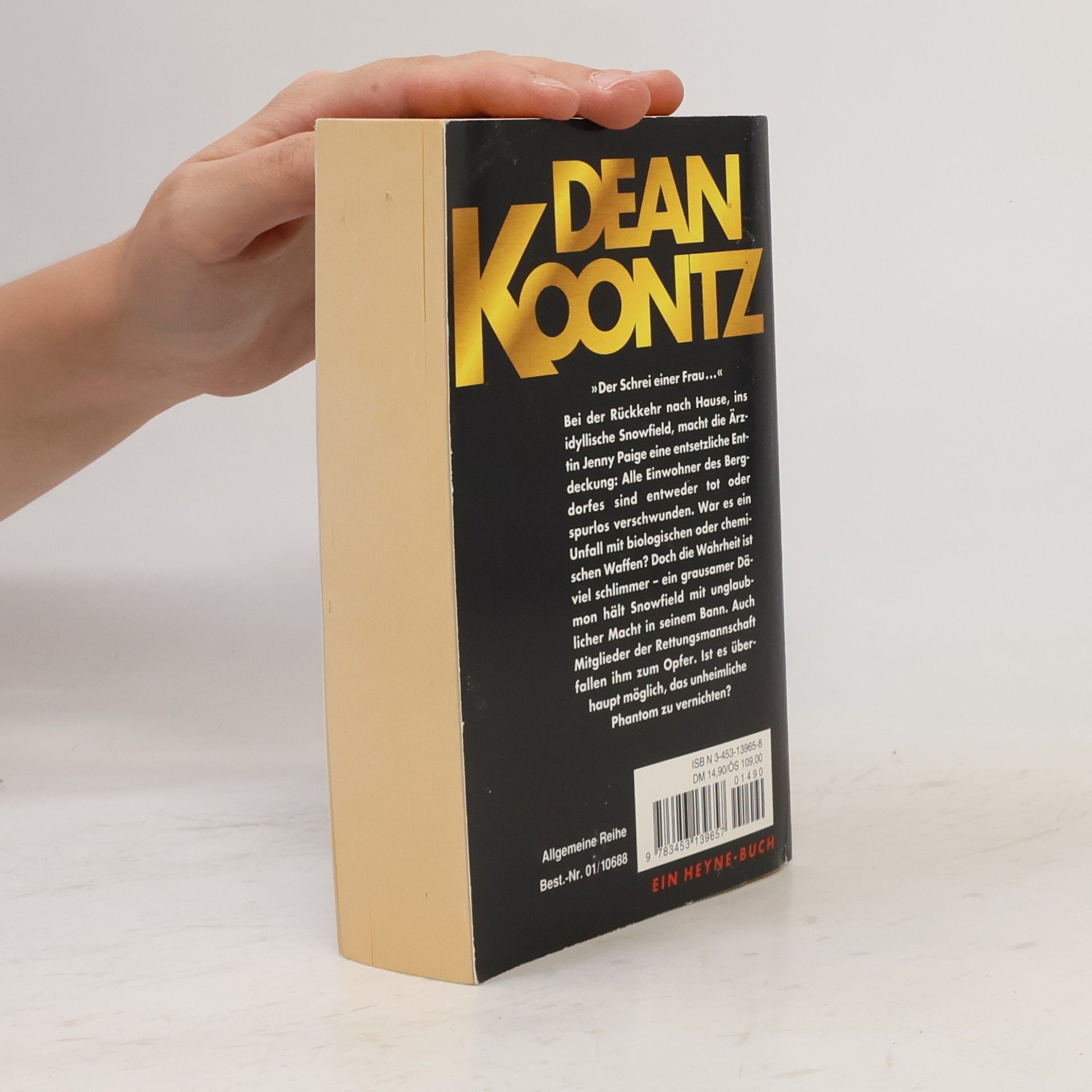 Dean Ray Koontz Phantom : Unheil über der Stadt