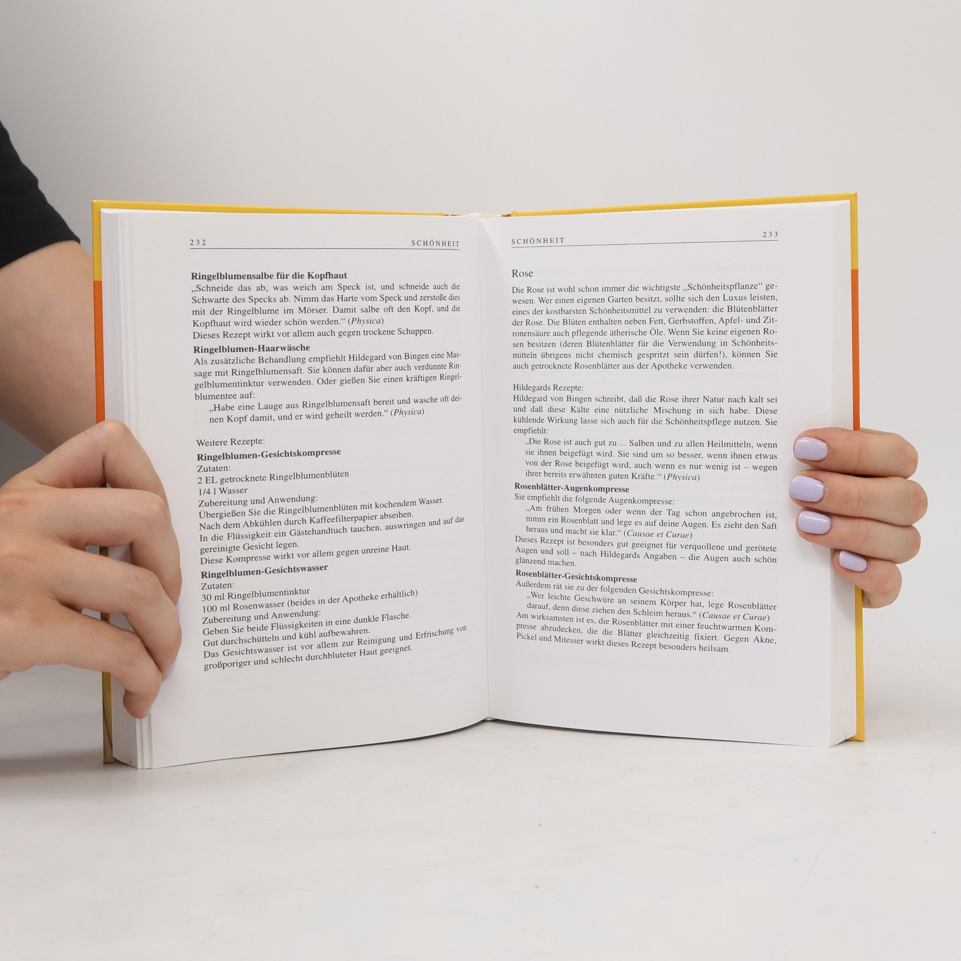 Heidelore Kluge Das große Hildegard von Bingen Buch