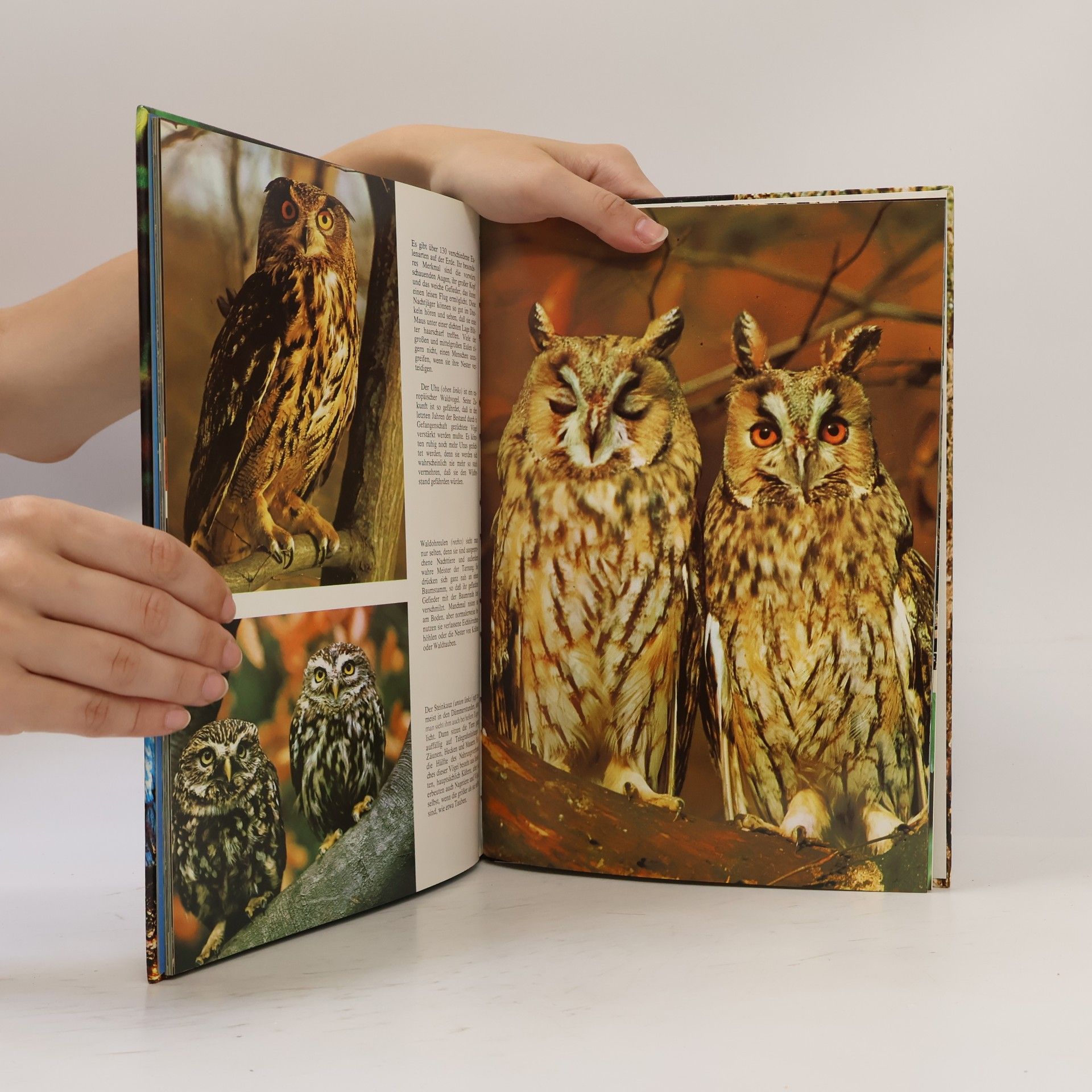 Robert Burton Vögel mit 108 Farbfotos