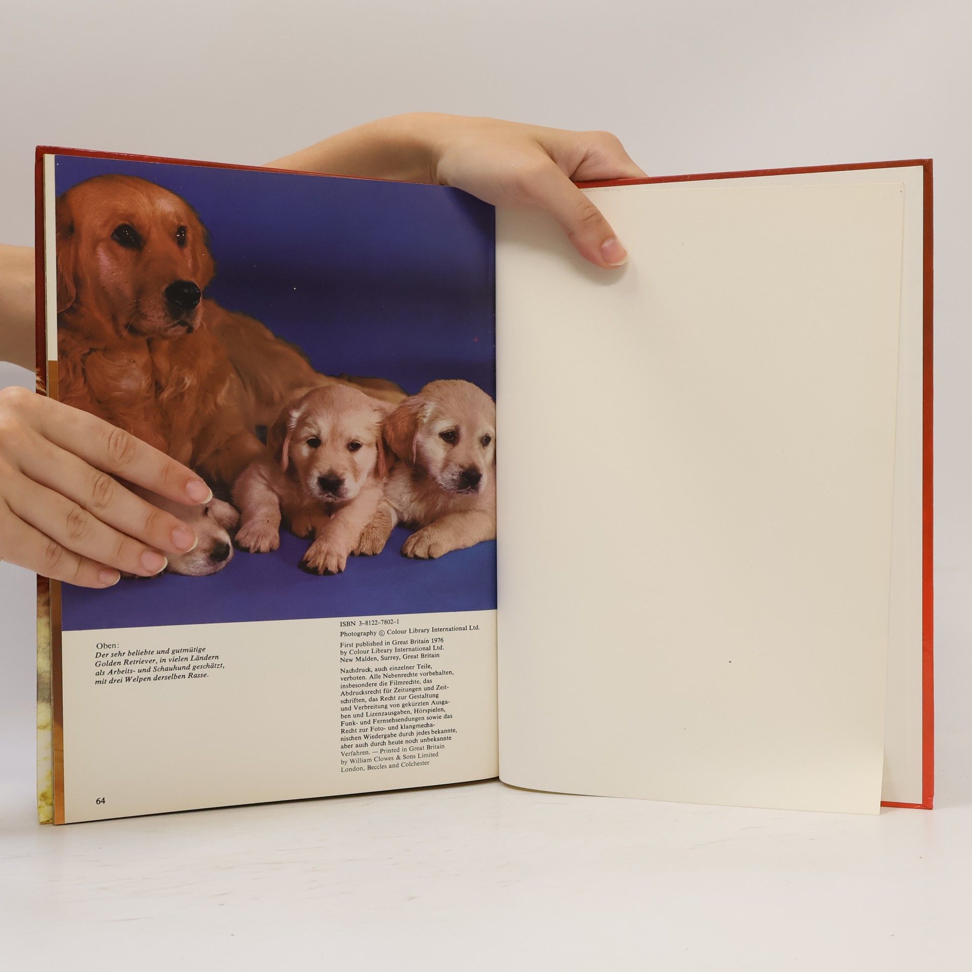 Kolektív autorov Hunde mit 79 Farbfotos