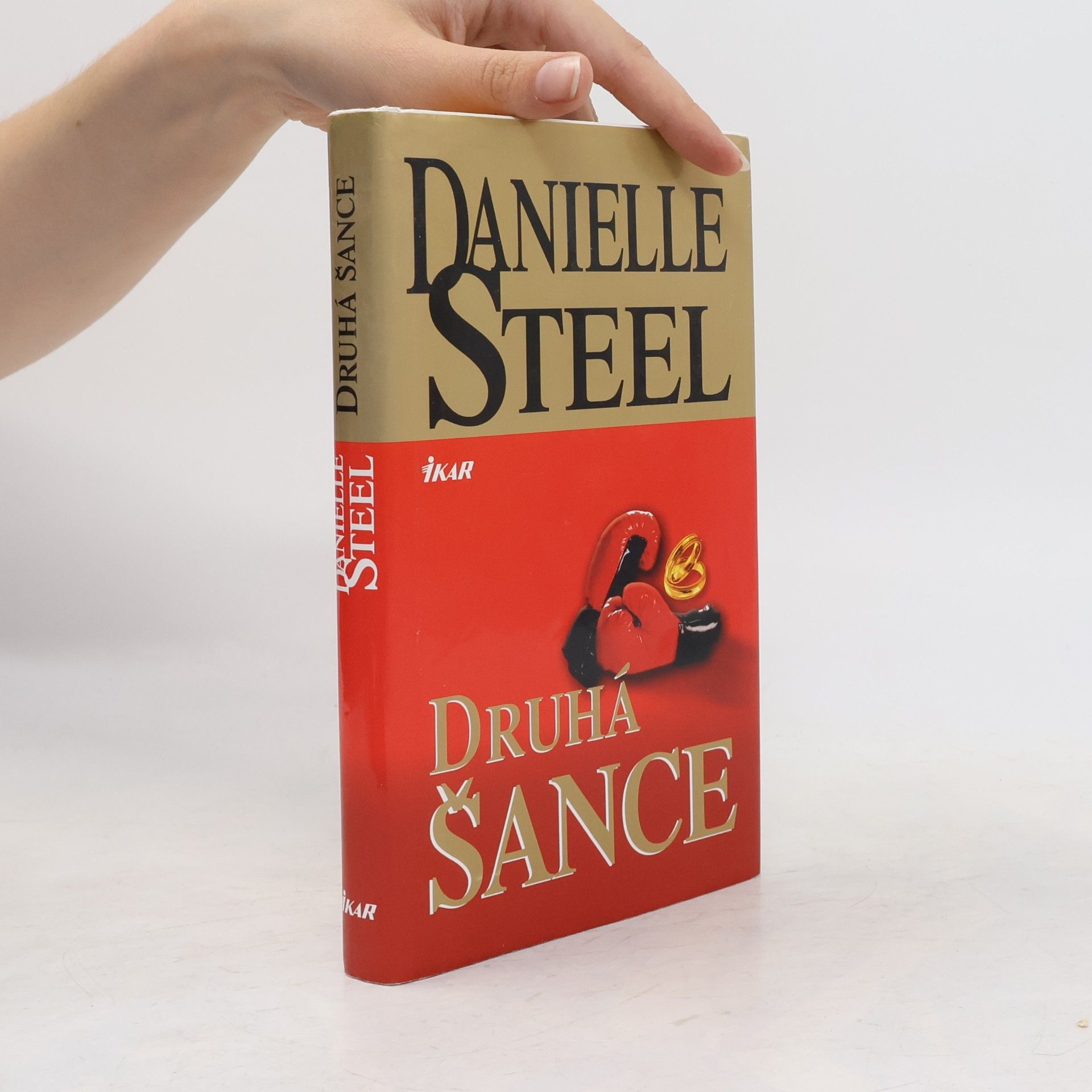 Danielle Steel Druhá šance