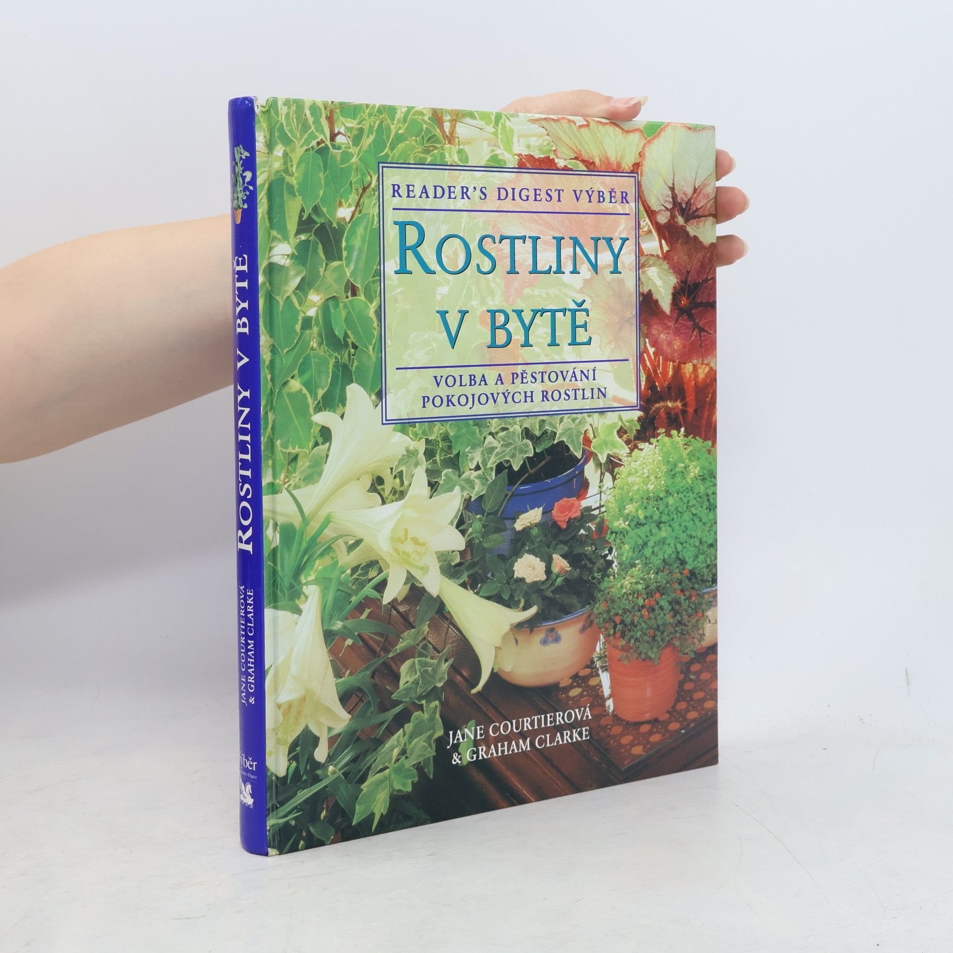 Rostliny v bytě