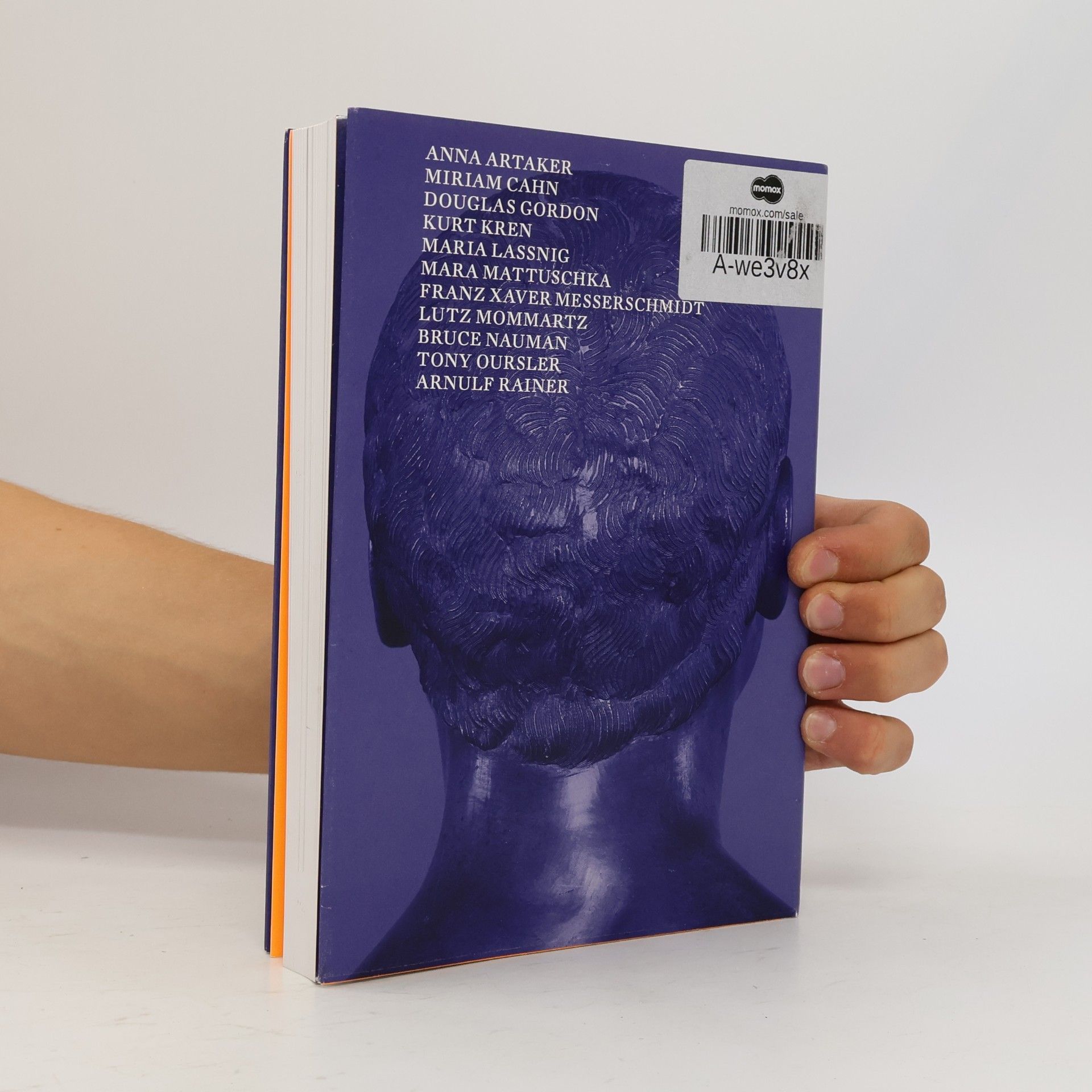 Johanna Aufreiter Talking heads