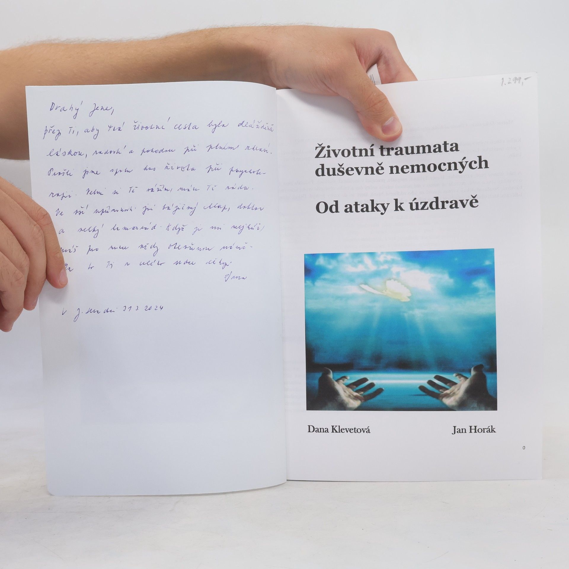 Dana Klevetová Životní traumata duševně nemocných