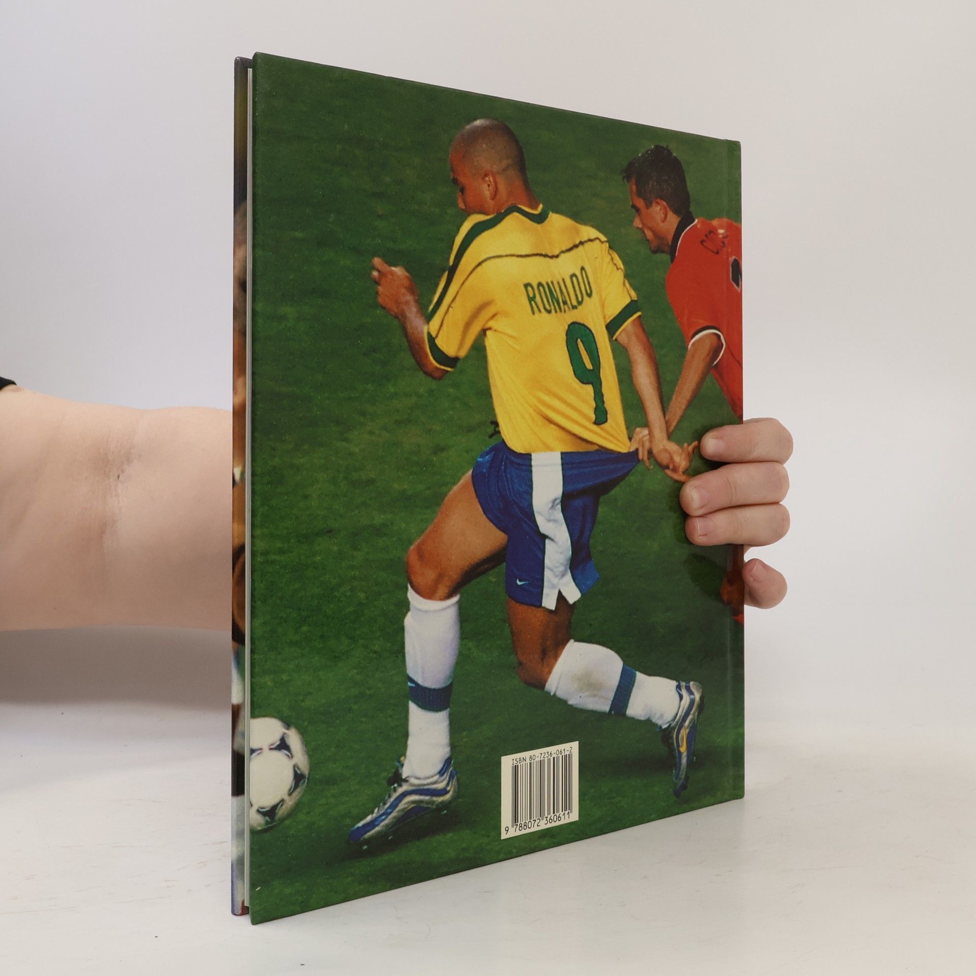 Karel Felt Mistrovství světa ve fotbale: Francie 1998