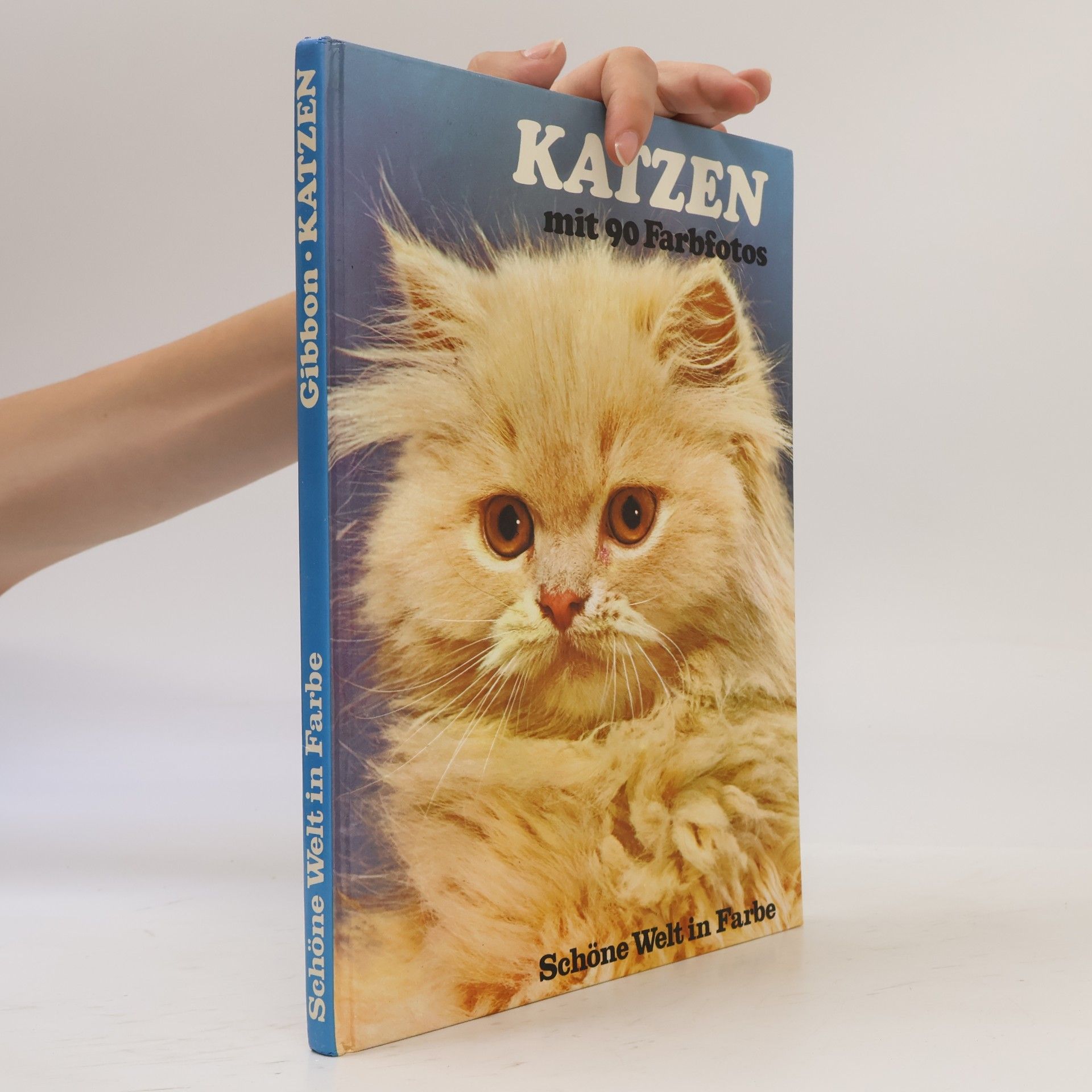 Katzen