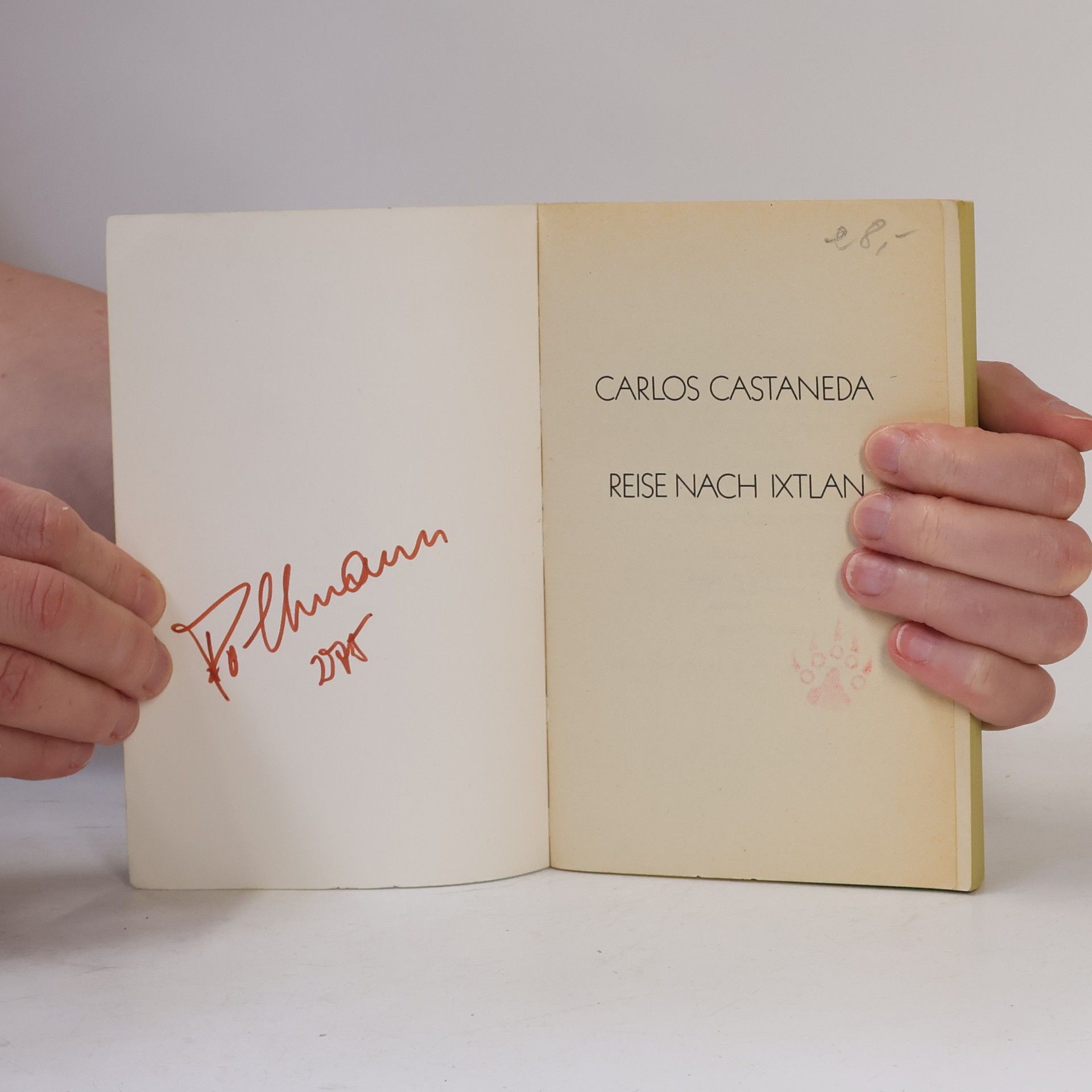 Carlos Castañeda Reise nach Ixtlan