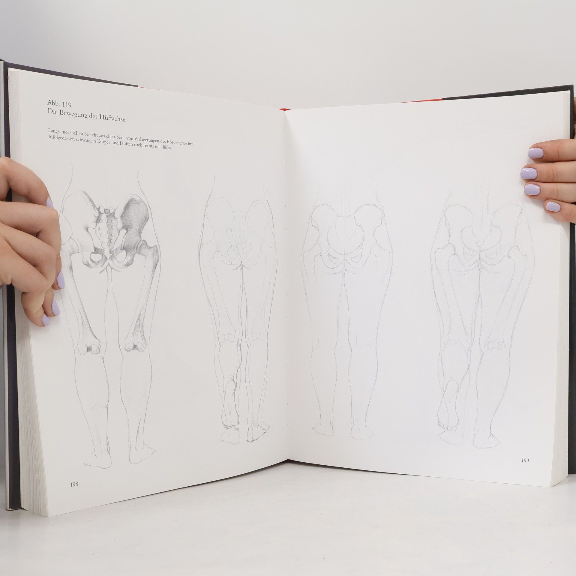 György Fehér Menschliche Anatomie für Künstler