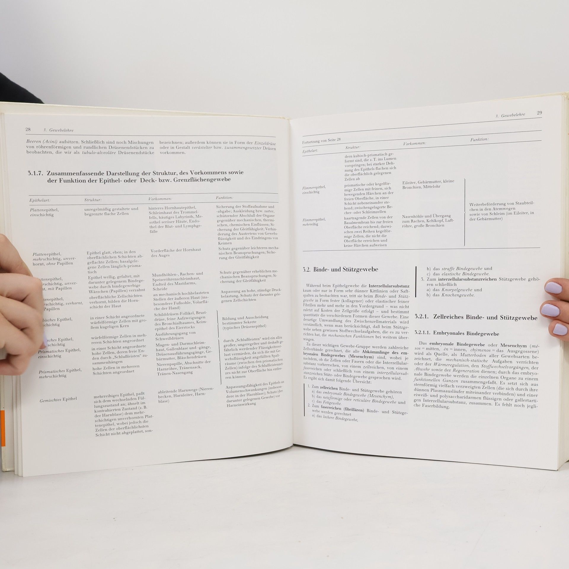 Kurt Tittel Beschreibende und funktionelle Anatomie des Menschen