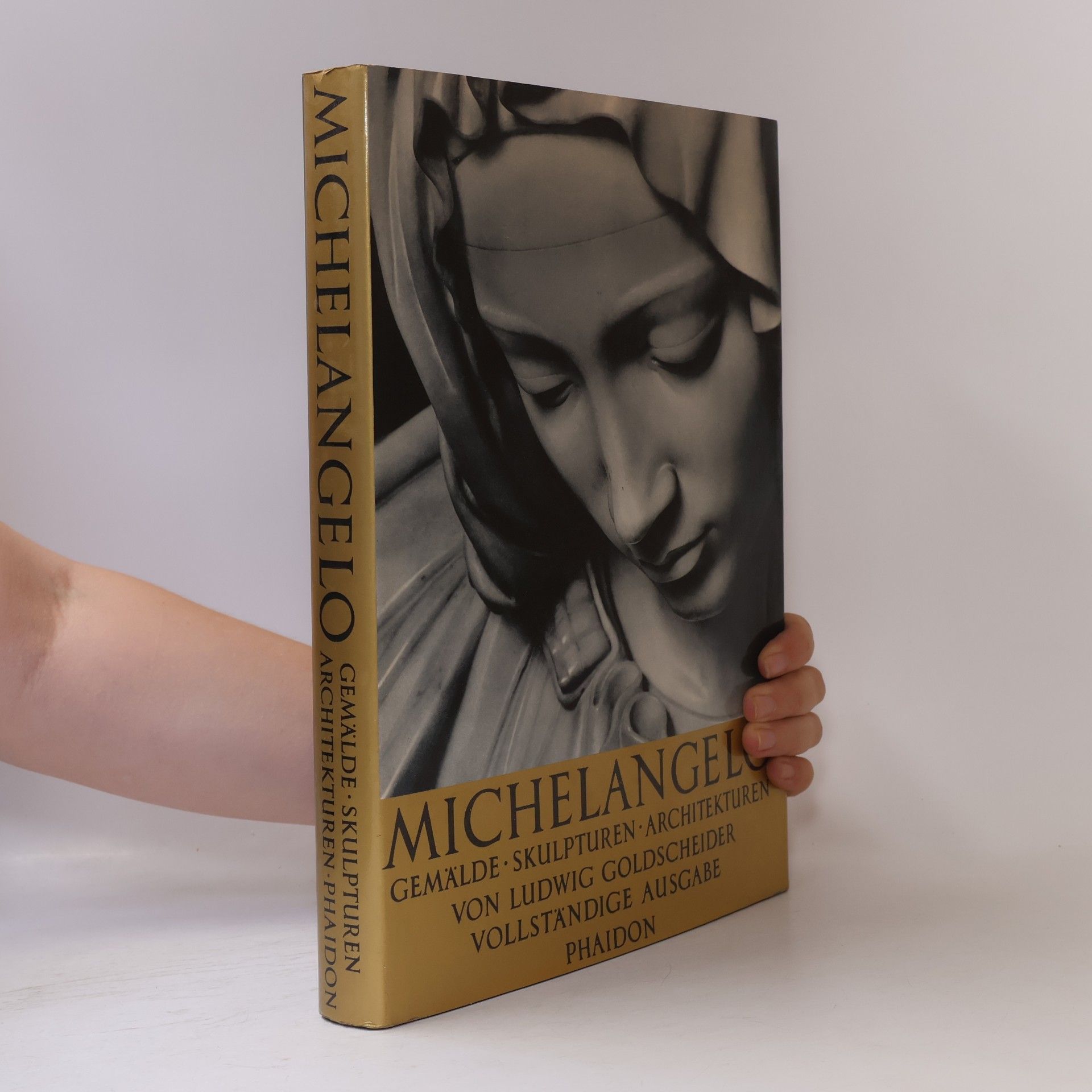Michelangelo Buonarroti Michelangelo