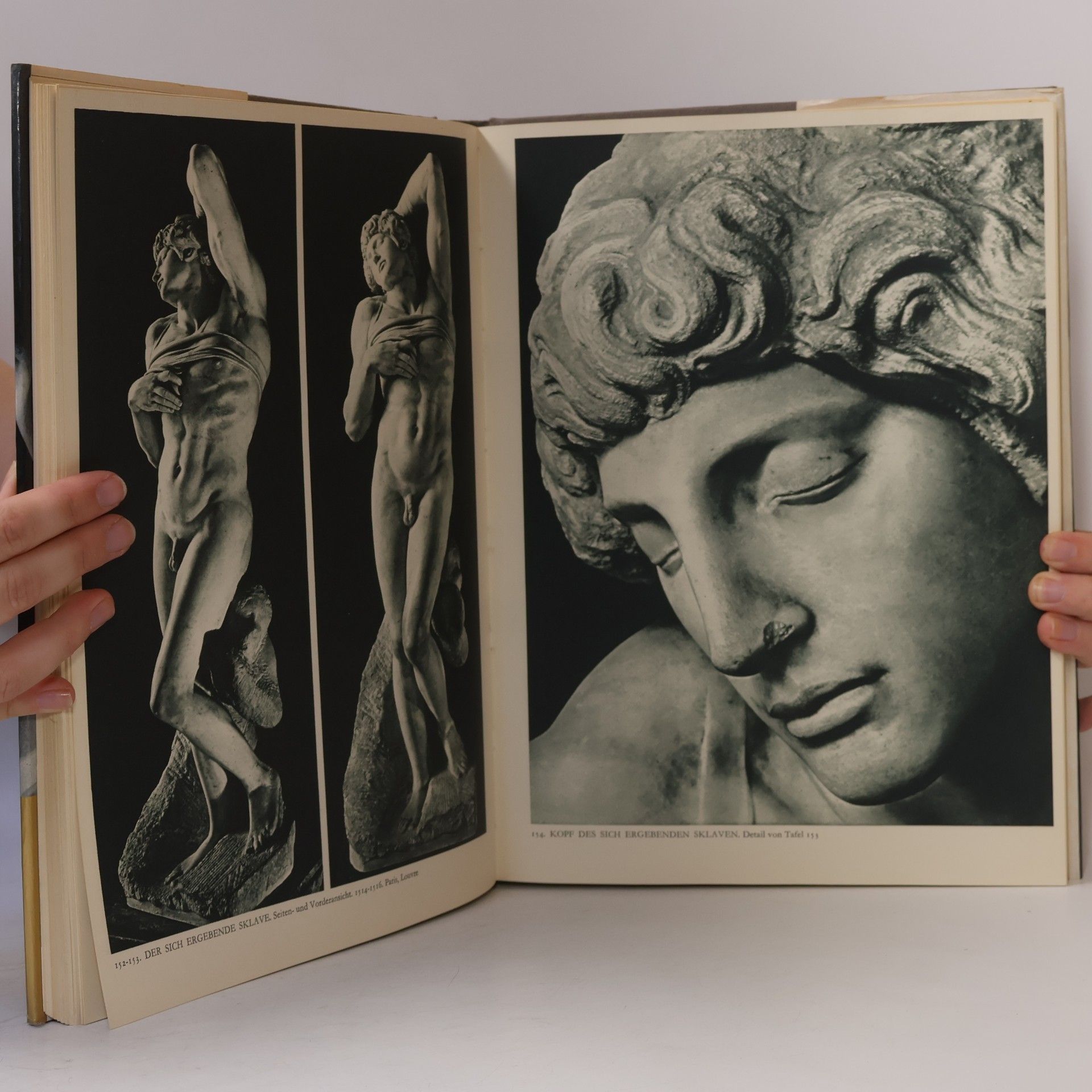 Michelangelo Buonarroti Michelangelo