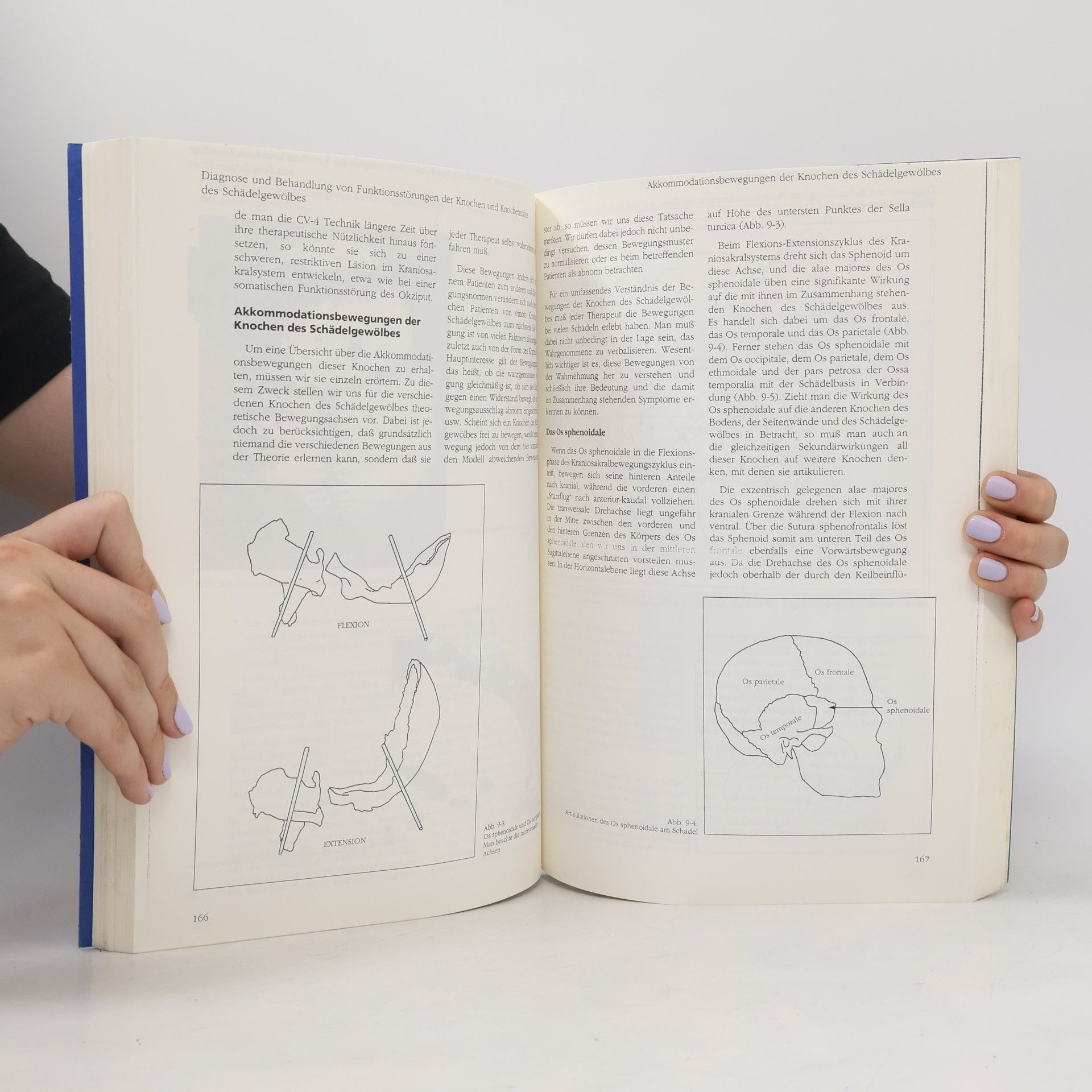 John E. Upledger Lehrbuch der Kraniosakraltherapie