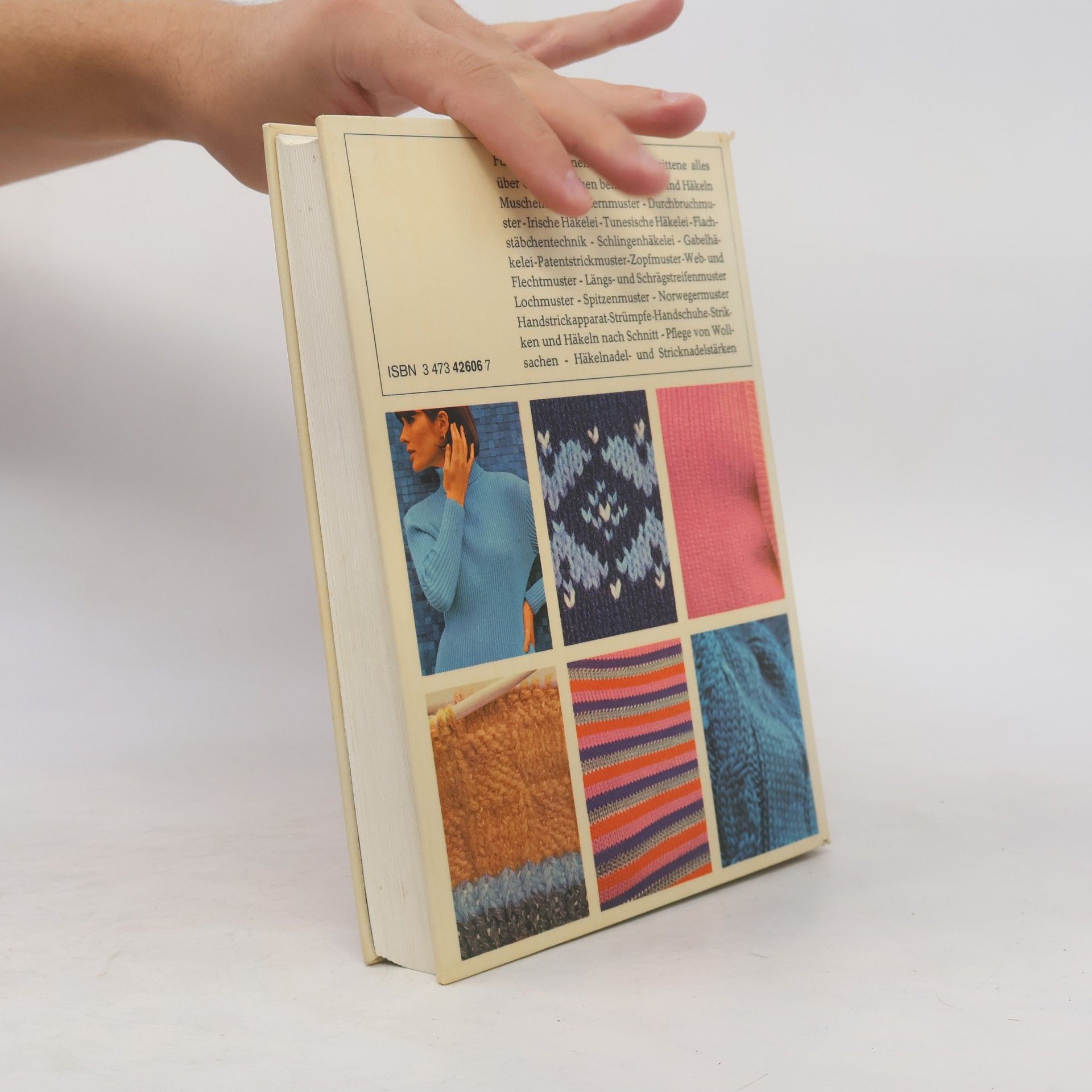 Kolektiv autorů Das neue Strick-und Häkelbuch