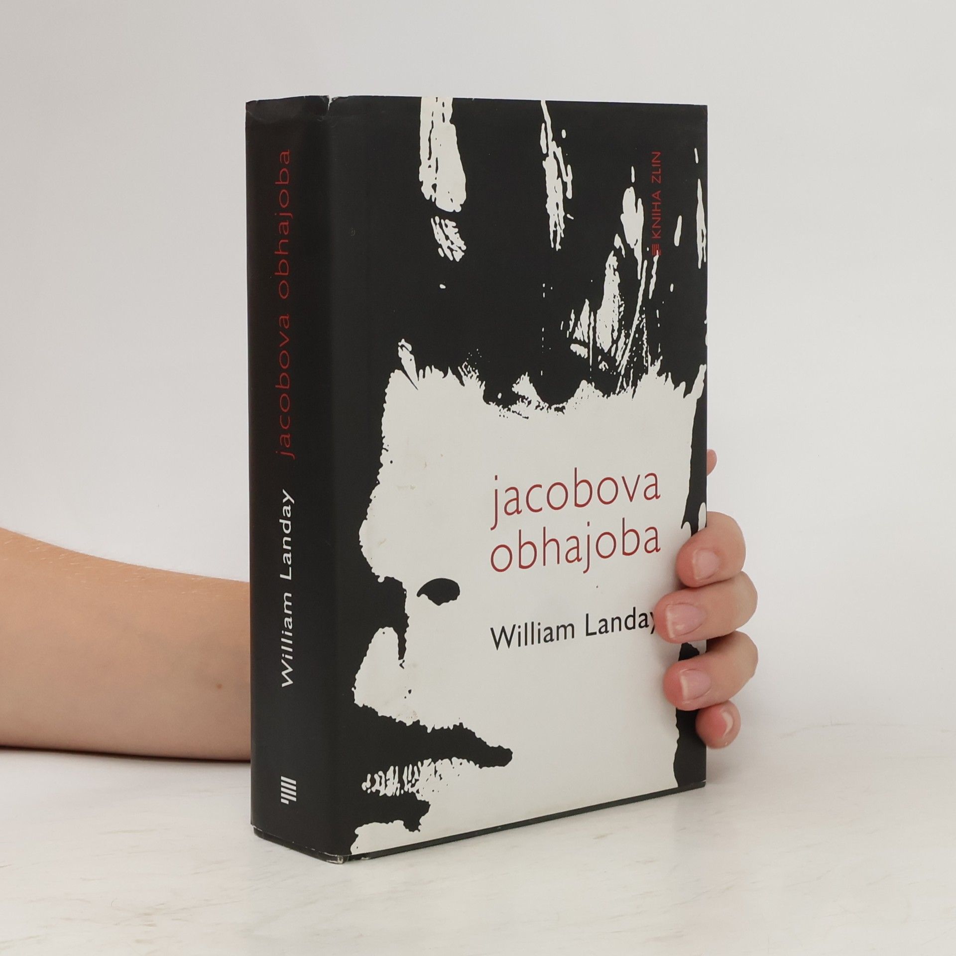 William Landay Jacobova obhajoba