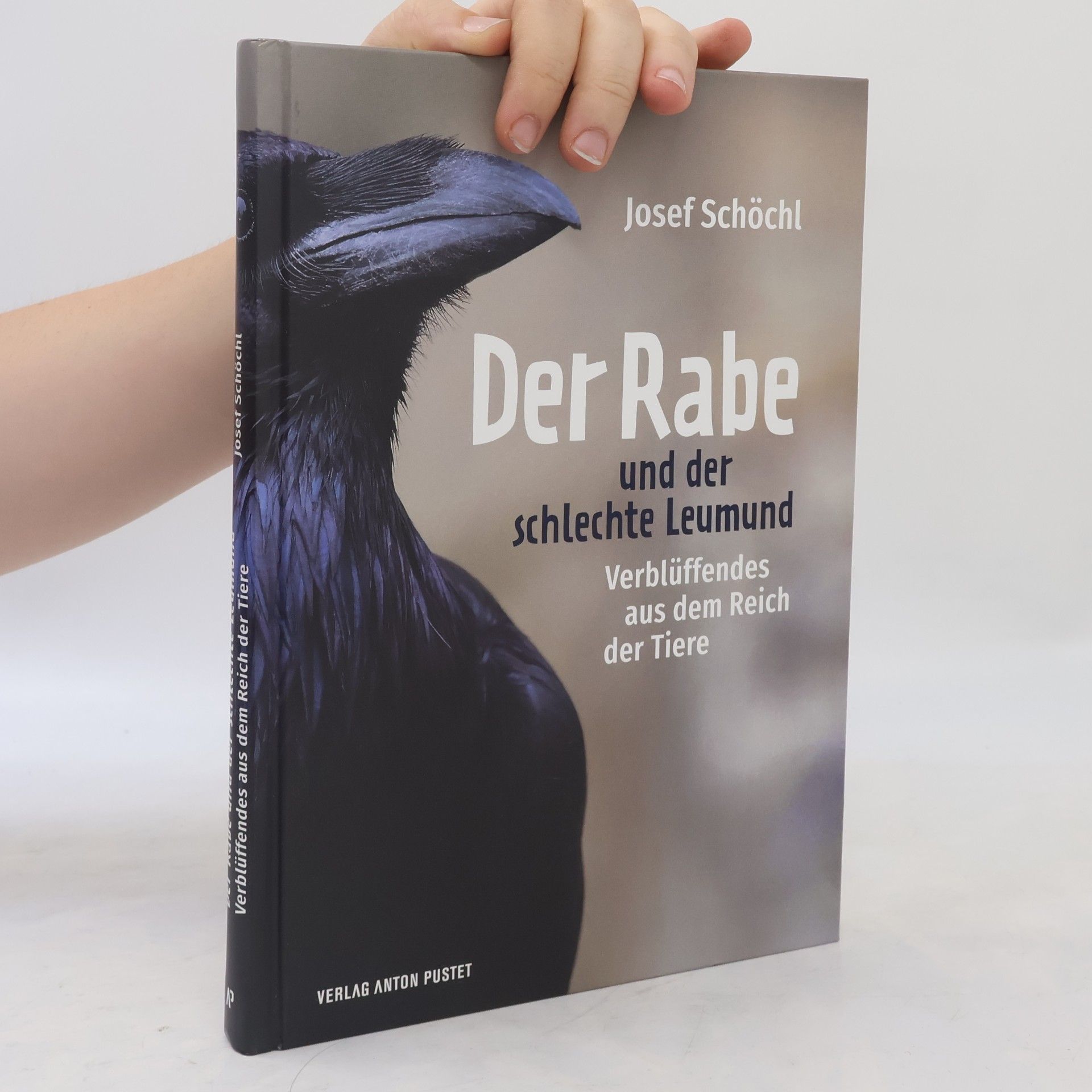 Josef Schöchl Der Rabe und der schlechte Leumund