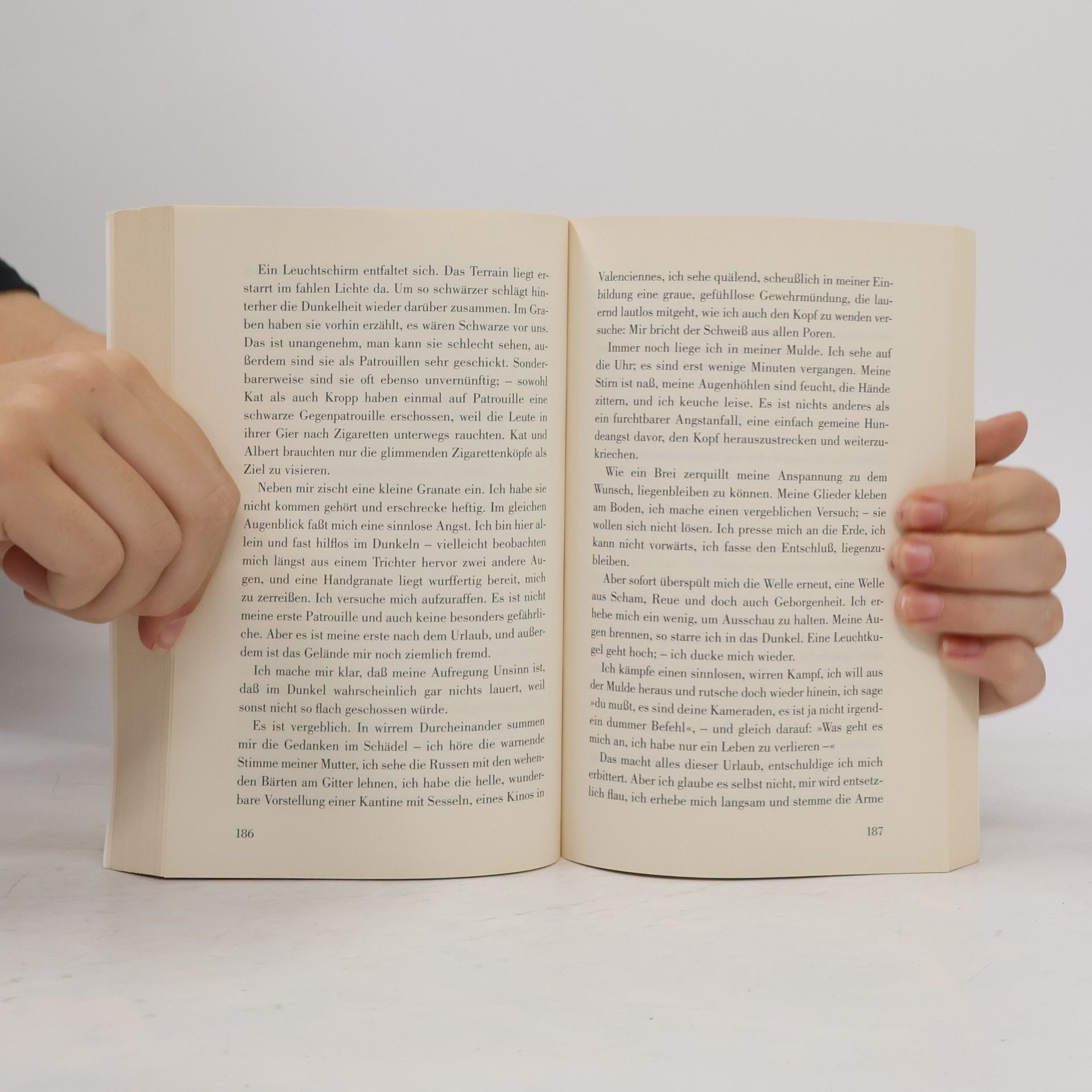 Erich Maria Remarque Im Westen nichts neues