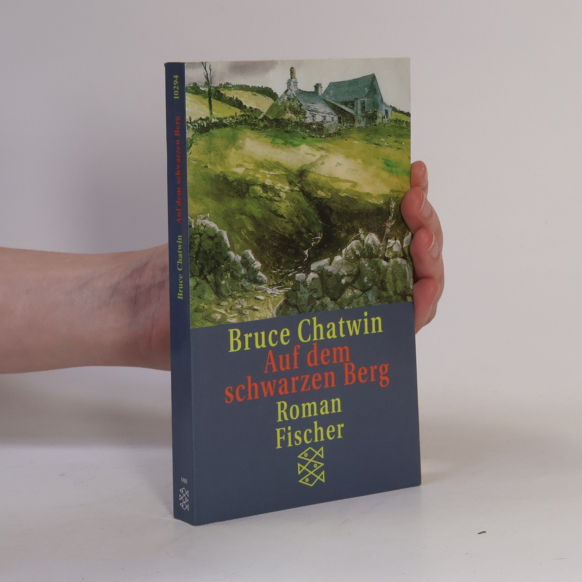 Bruce Chatwin Auf dem schwarzen Berg