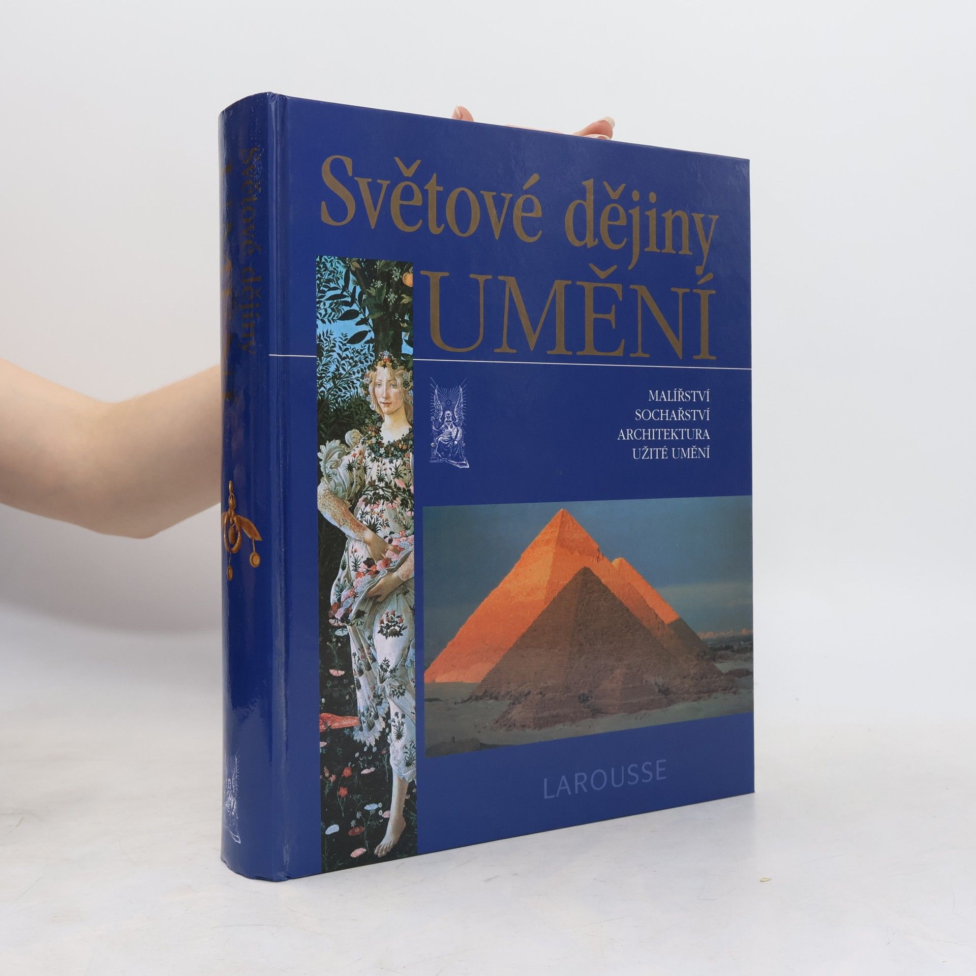 Albert Châtelet Světové dějiny umění : malířství, sochařství, architektura, užité umění