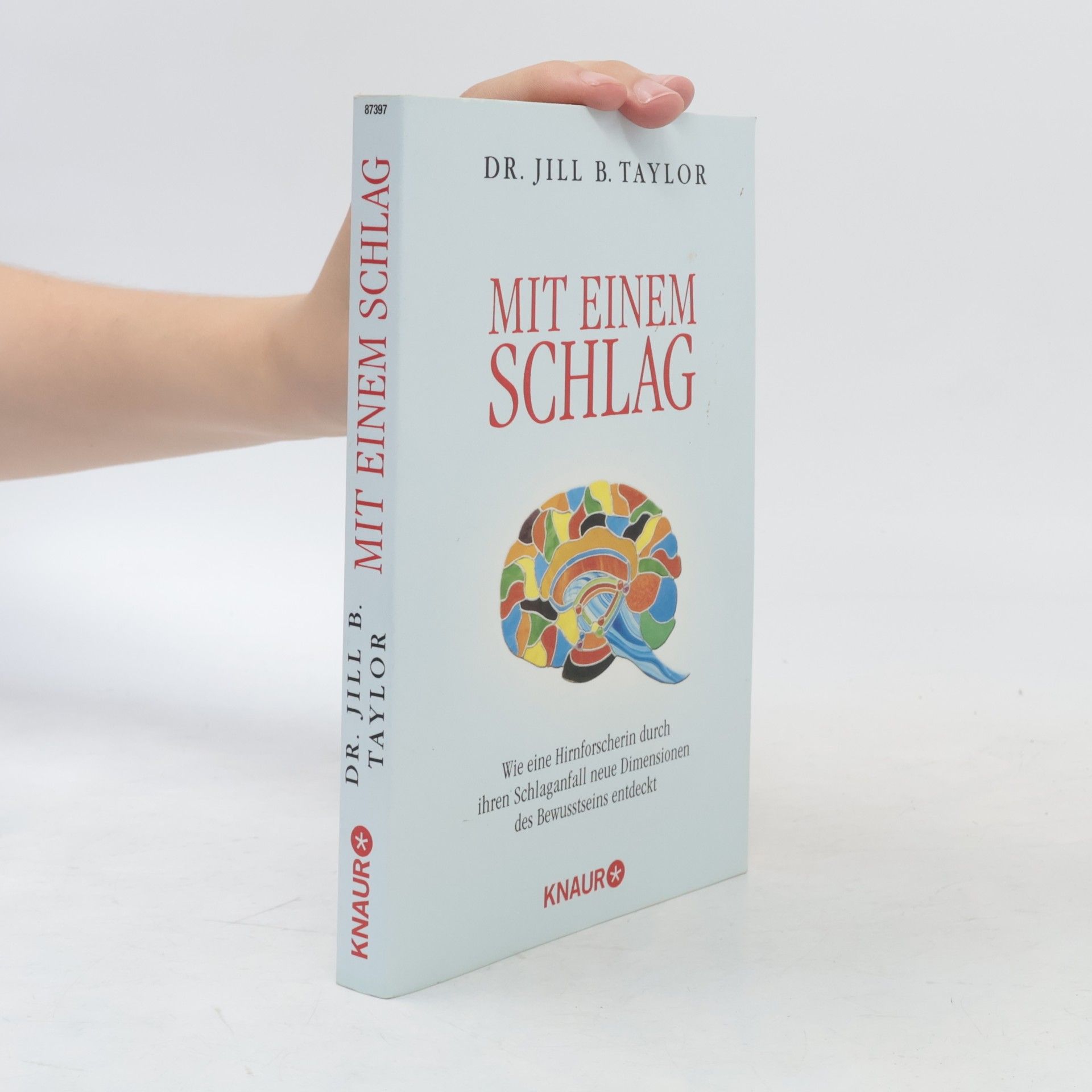 Jill Bolte Taylor Mit einem Schlag