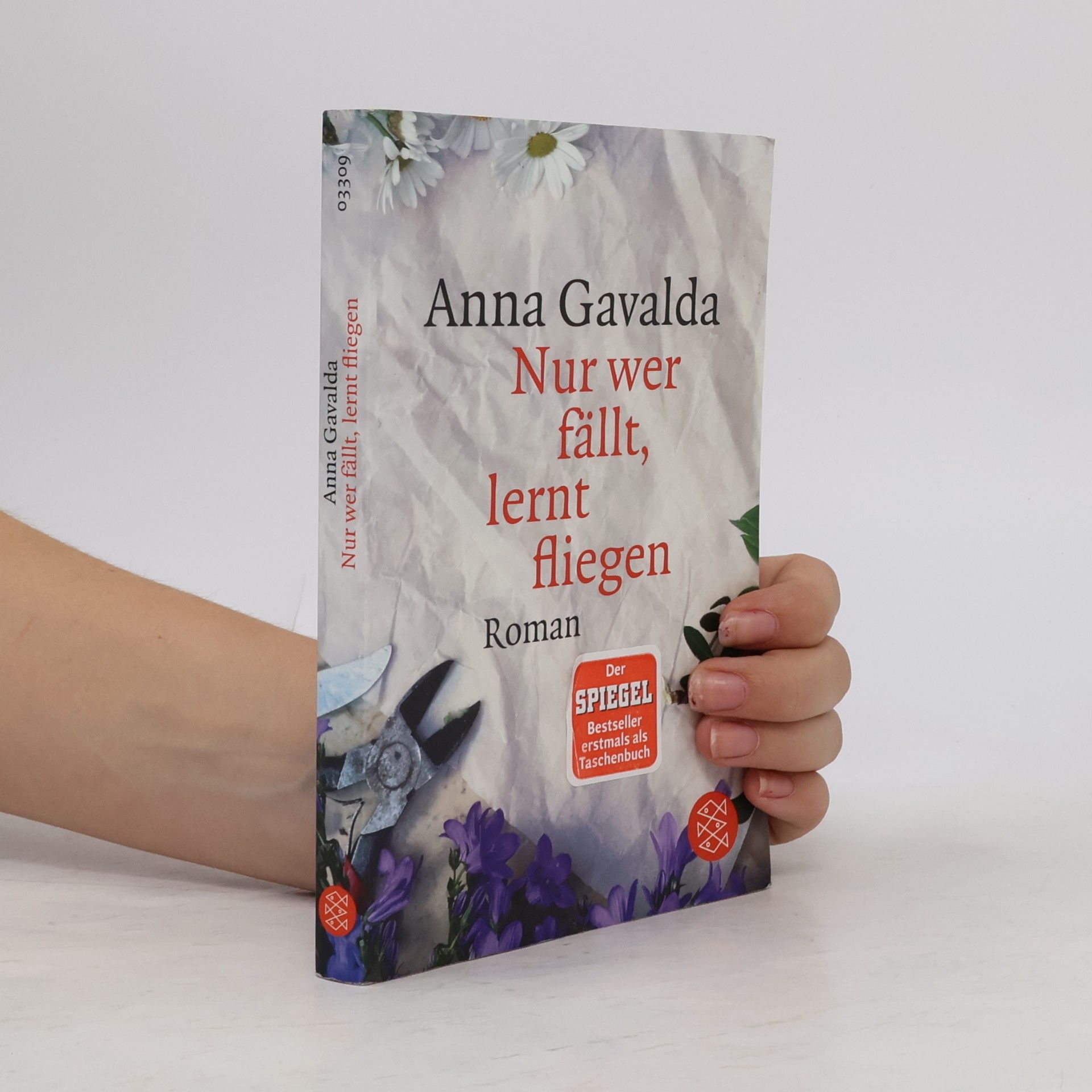 Anna Gavalda Nur wer fällt, lernt fliegen
