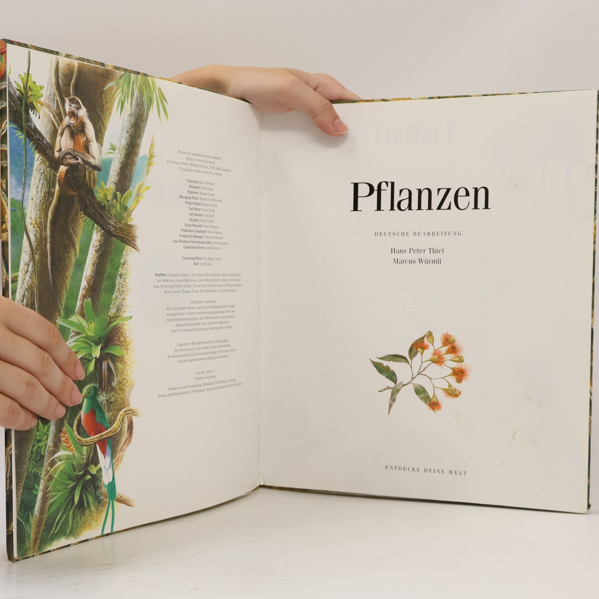 Hans-Peter Thiel Pflanzen