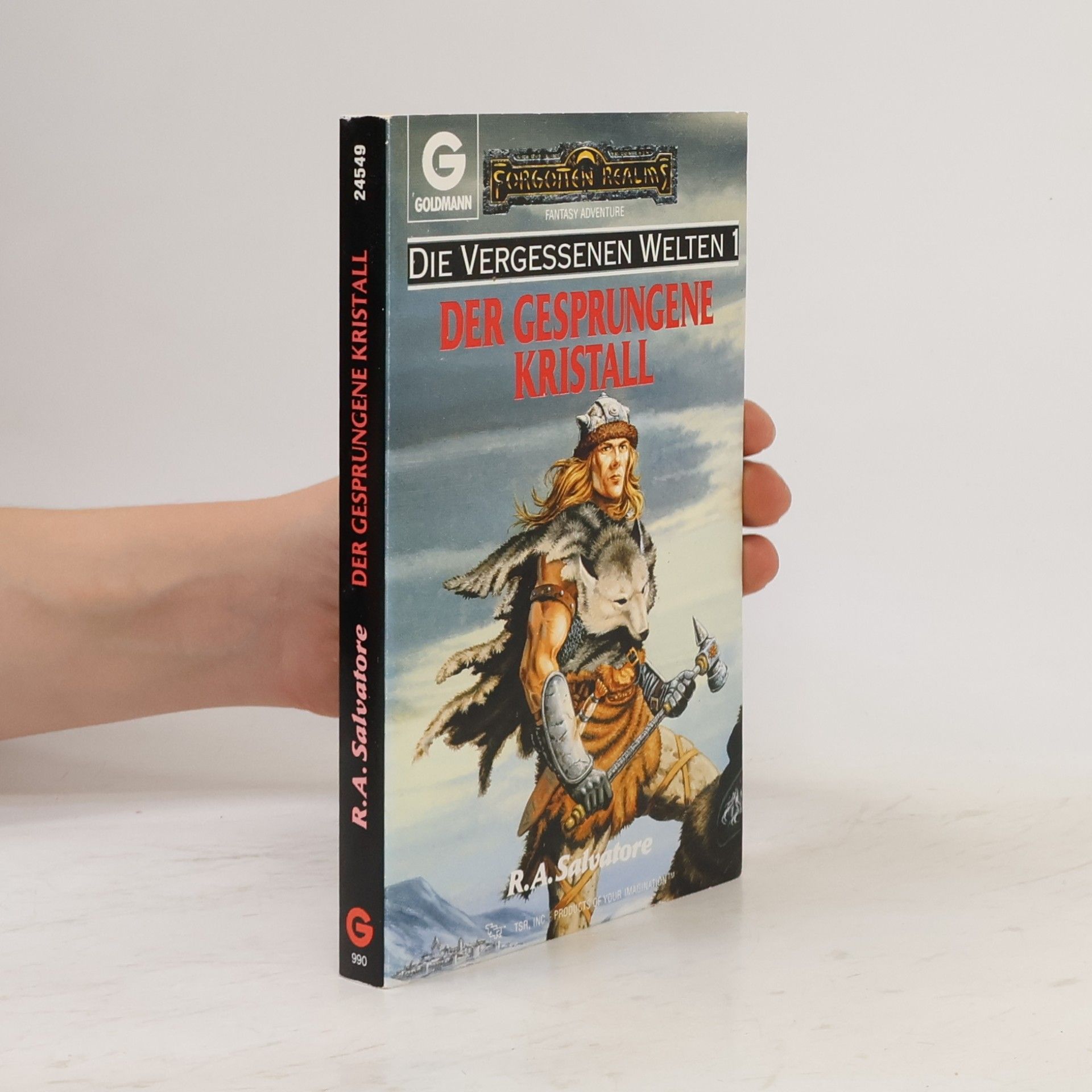 R. A. Salvatore Die vergessenen Welten