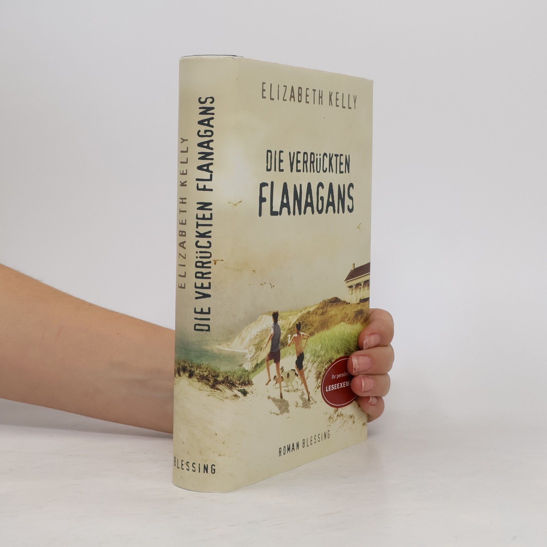 Wolfgang Müller Die verrückten Flanagans