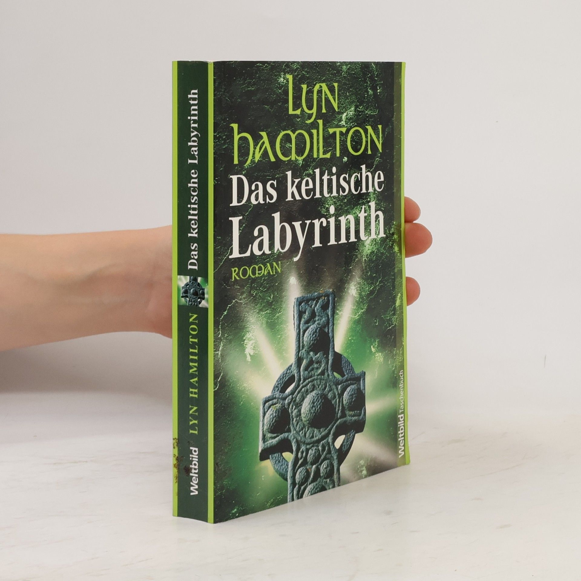 Lyn Hamilton Das keltische Labyrinth