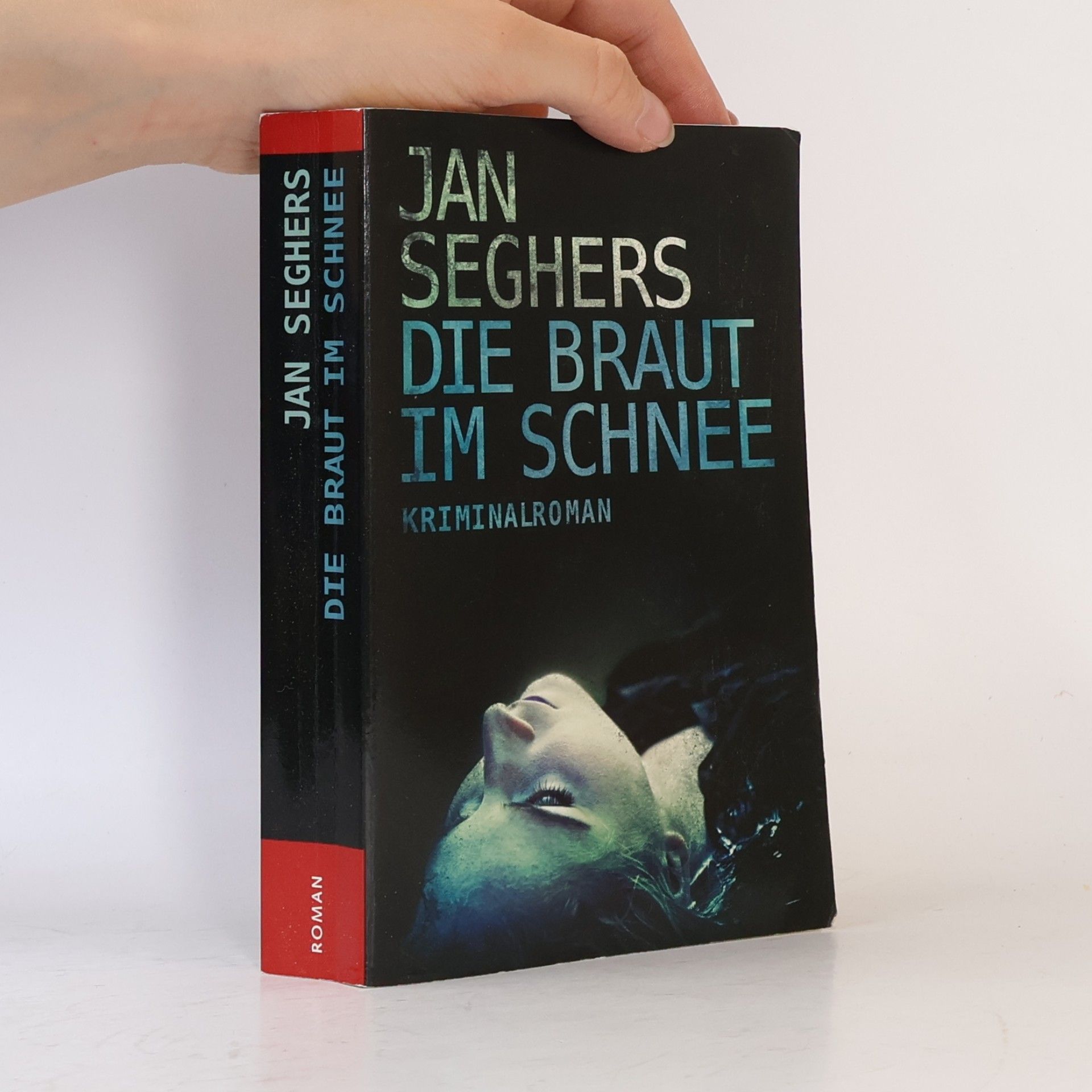 Jan Seghers Die Braut im Schnee