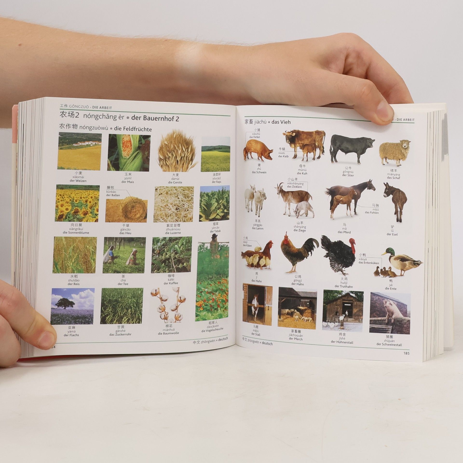 Visuelles Wörterbuch Chinesisch - Deutsch