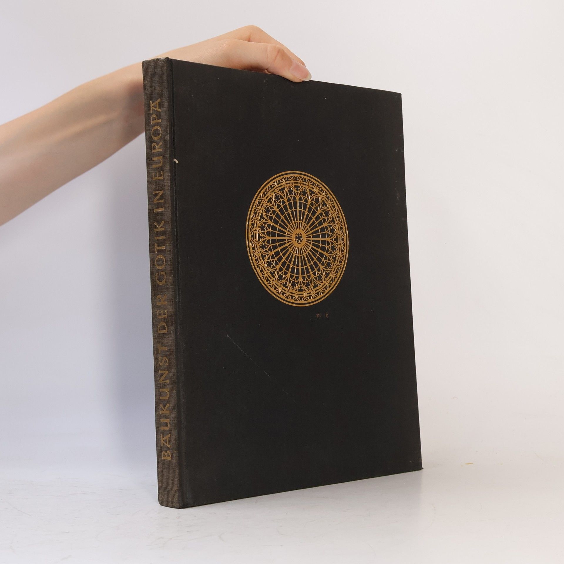 Autorenkollektiv Baukunst der Gotik in Europa
