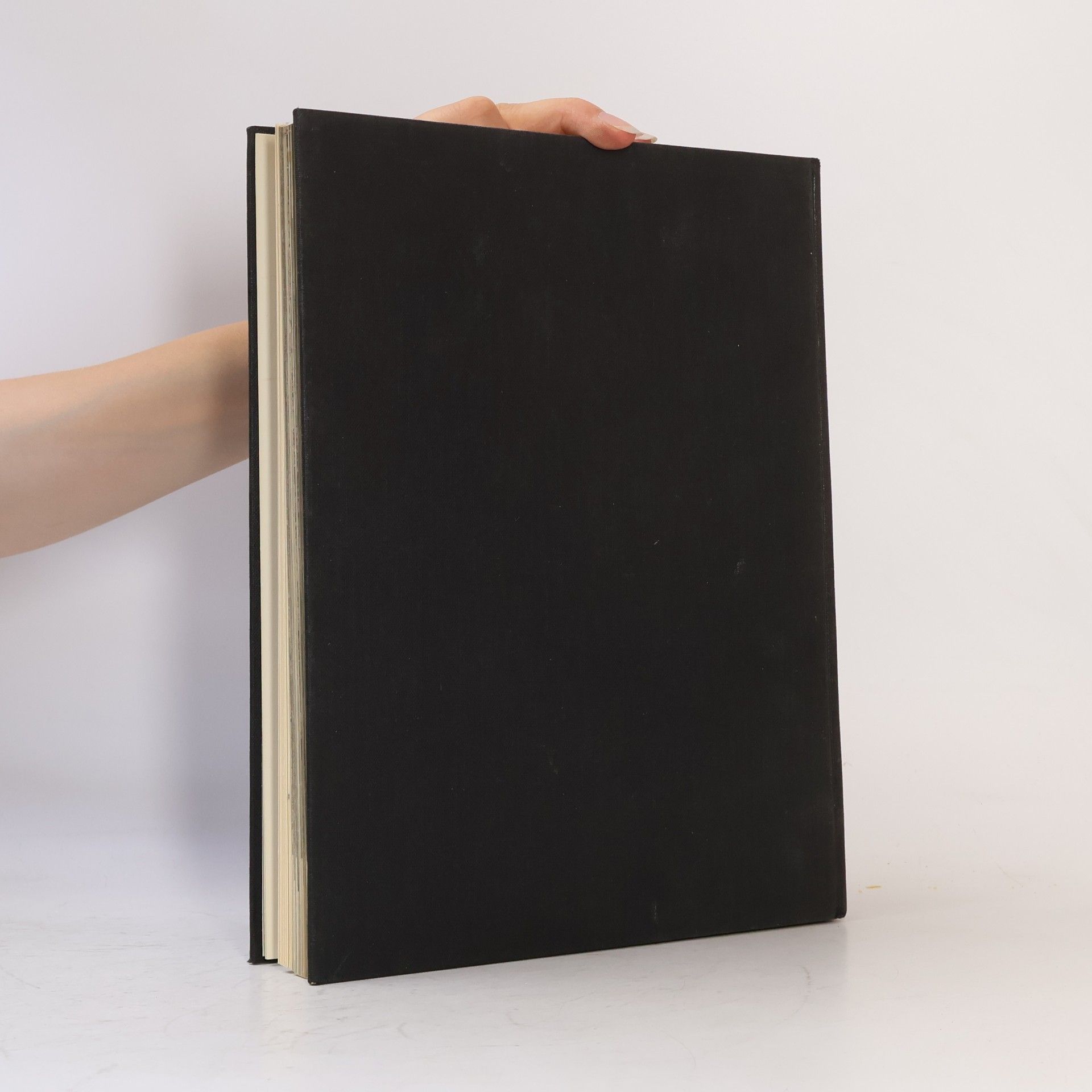 Autorenkollektiv Baukunst der Gotik in Europa