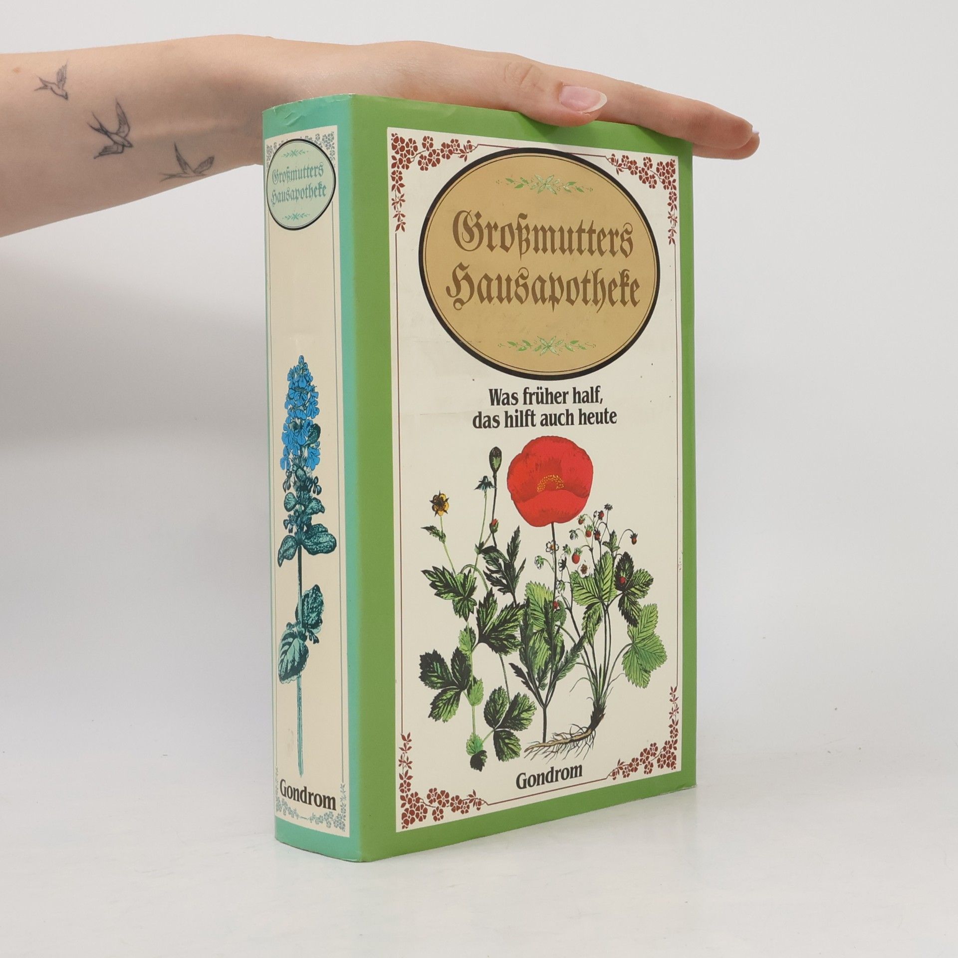 Roland W. Fink-Henseler Grossmutters Hausapotheke