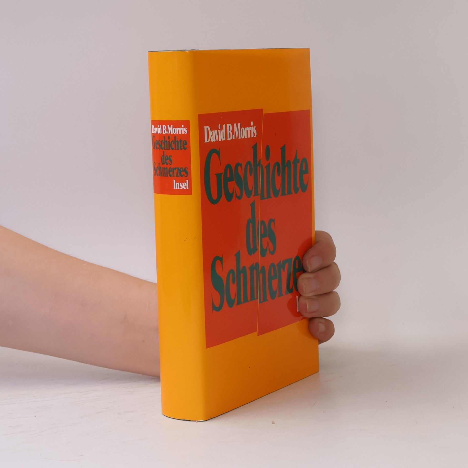 David B. Morris Geschichte des Schmerzes