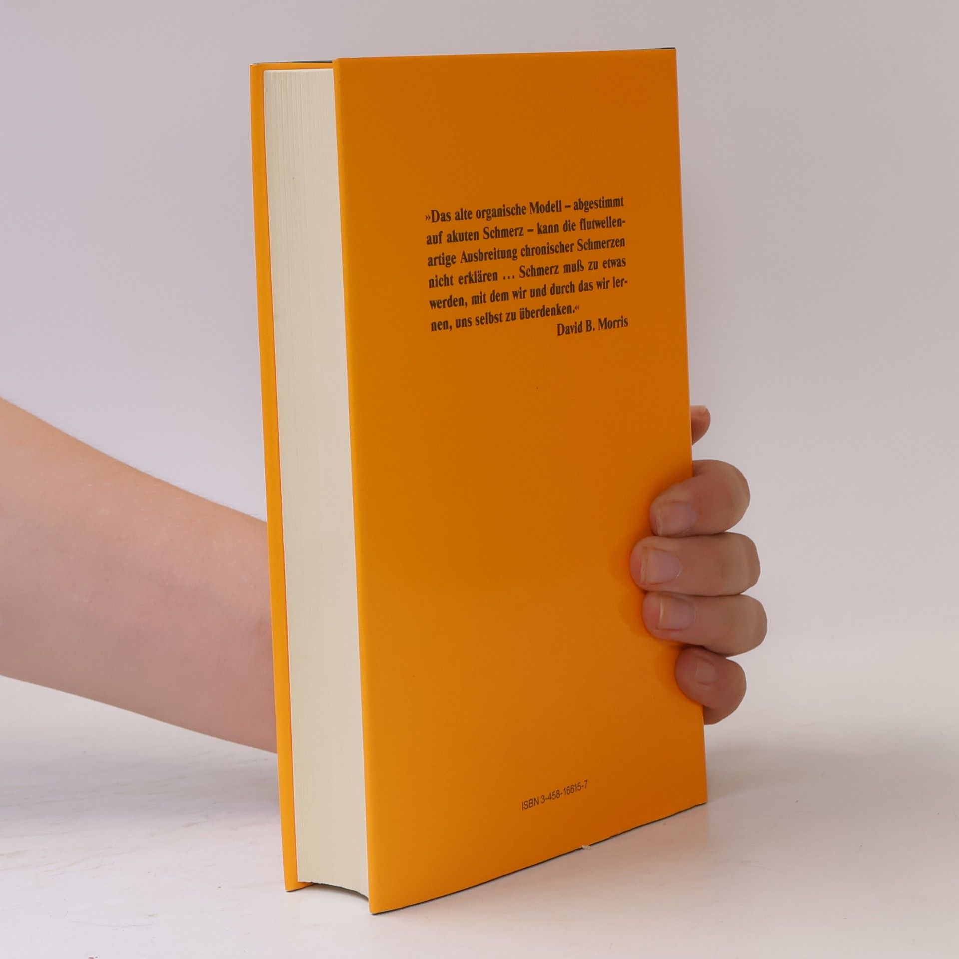 David B. Morris Geschichte des Schmerzes