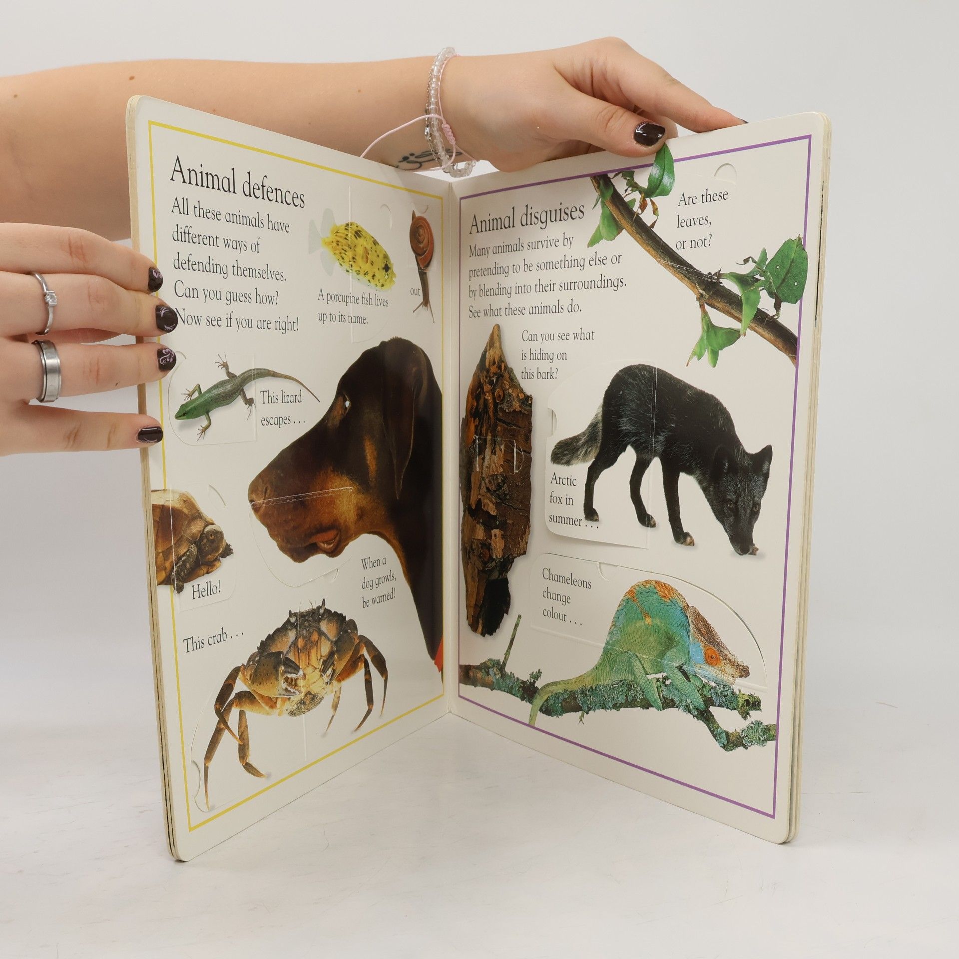 Dorling Kindersley Publishing Staff My First Animal Lift the Flap Board Book
