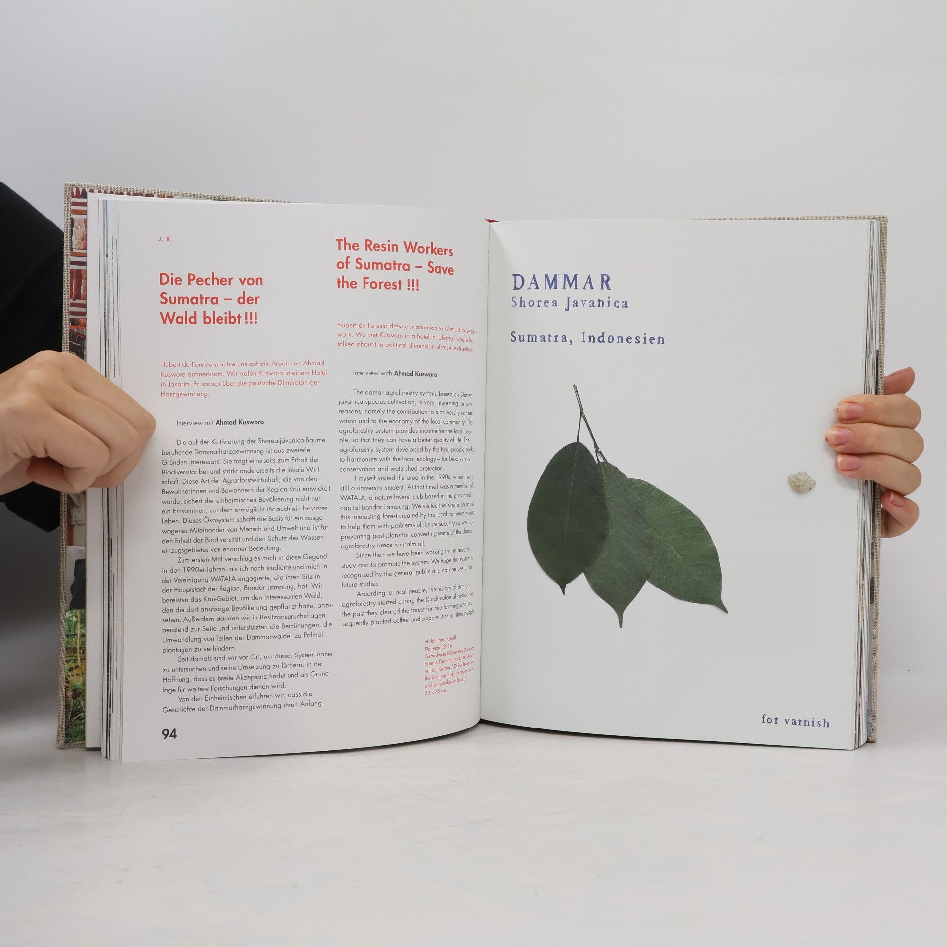 Stella Rollig Johanna Kandl, Material