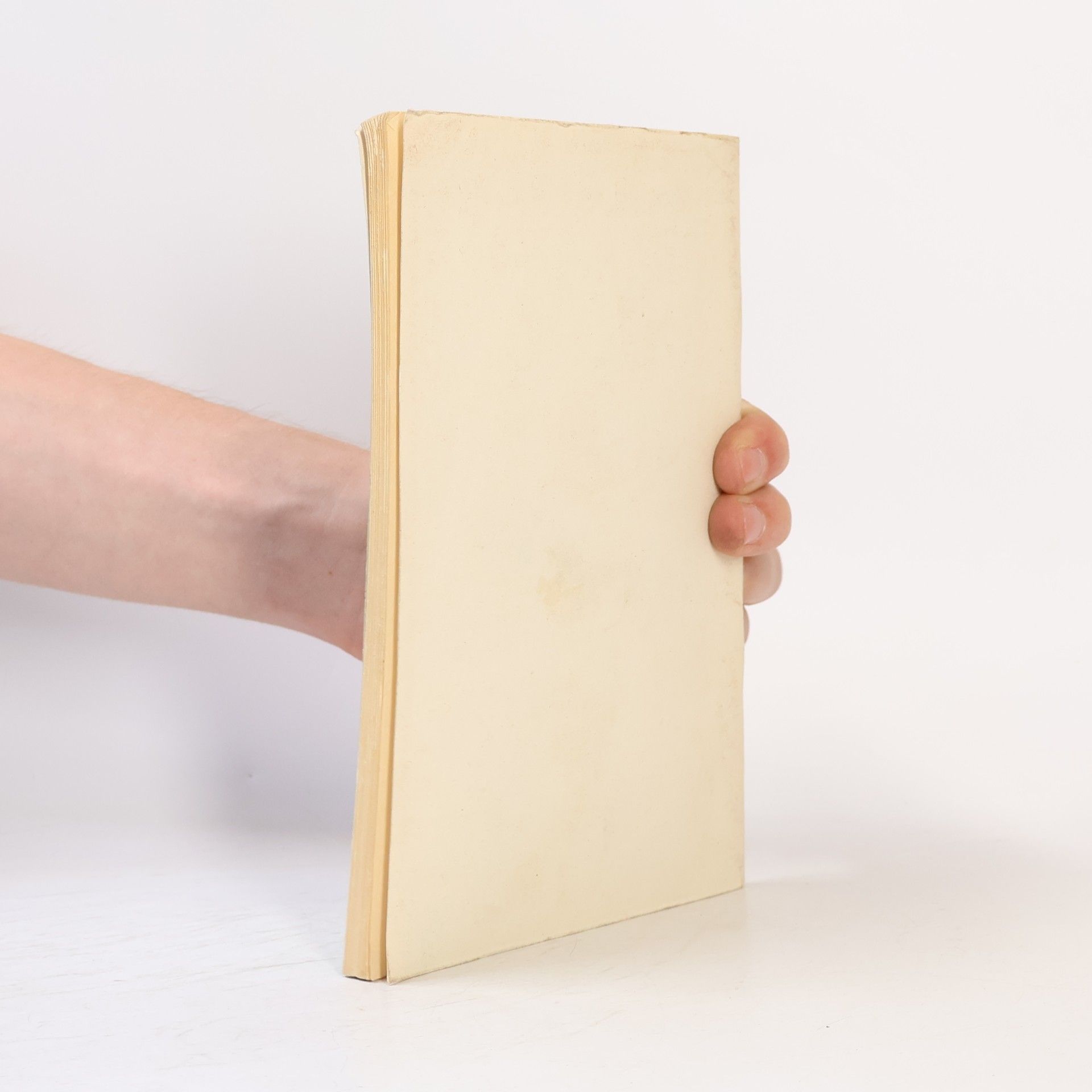 Jiří Růžička Sociální psychologie práce