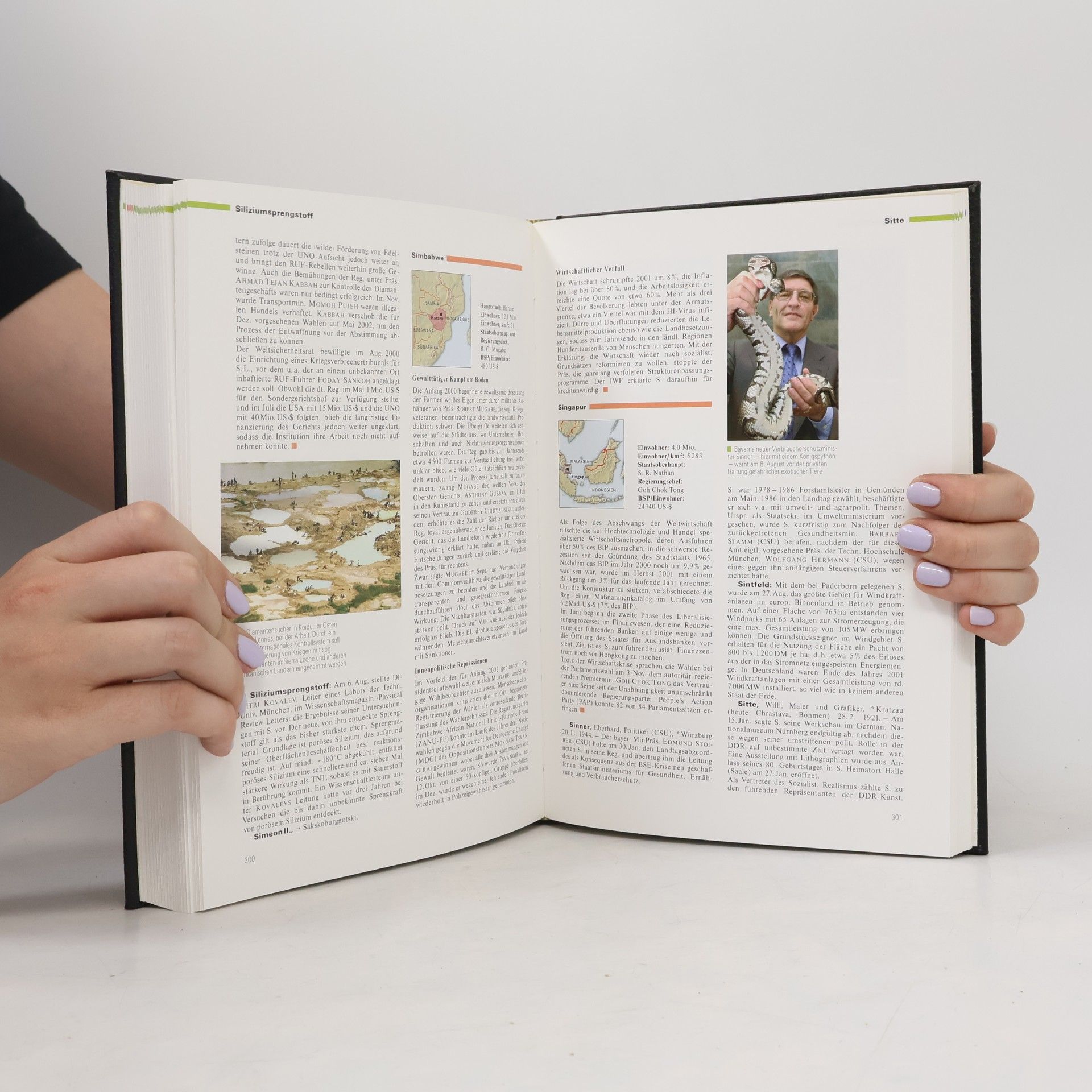 Various authors Brockhaus Enzyklopädie. Jahrbuch 2001
