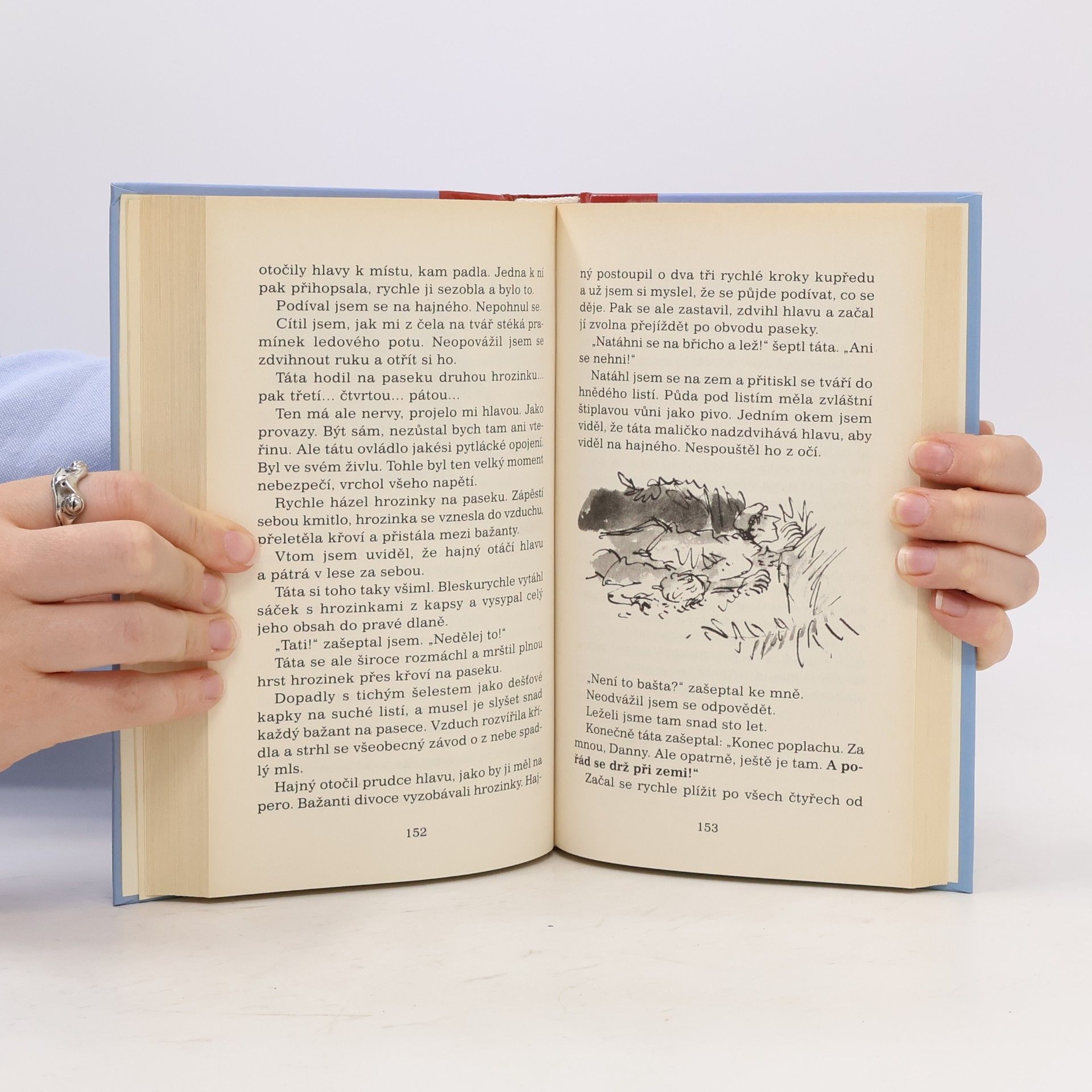 Roald Dahl Danny, mistr světa
