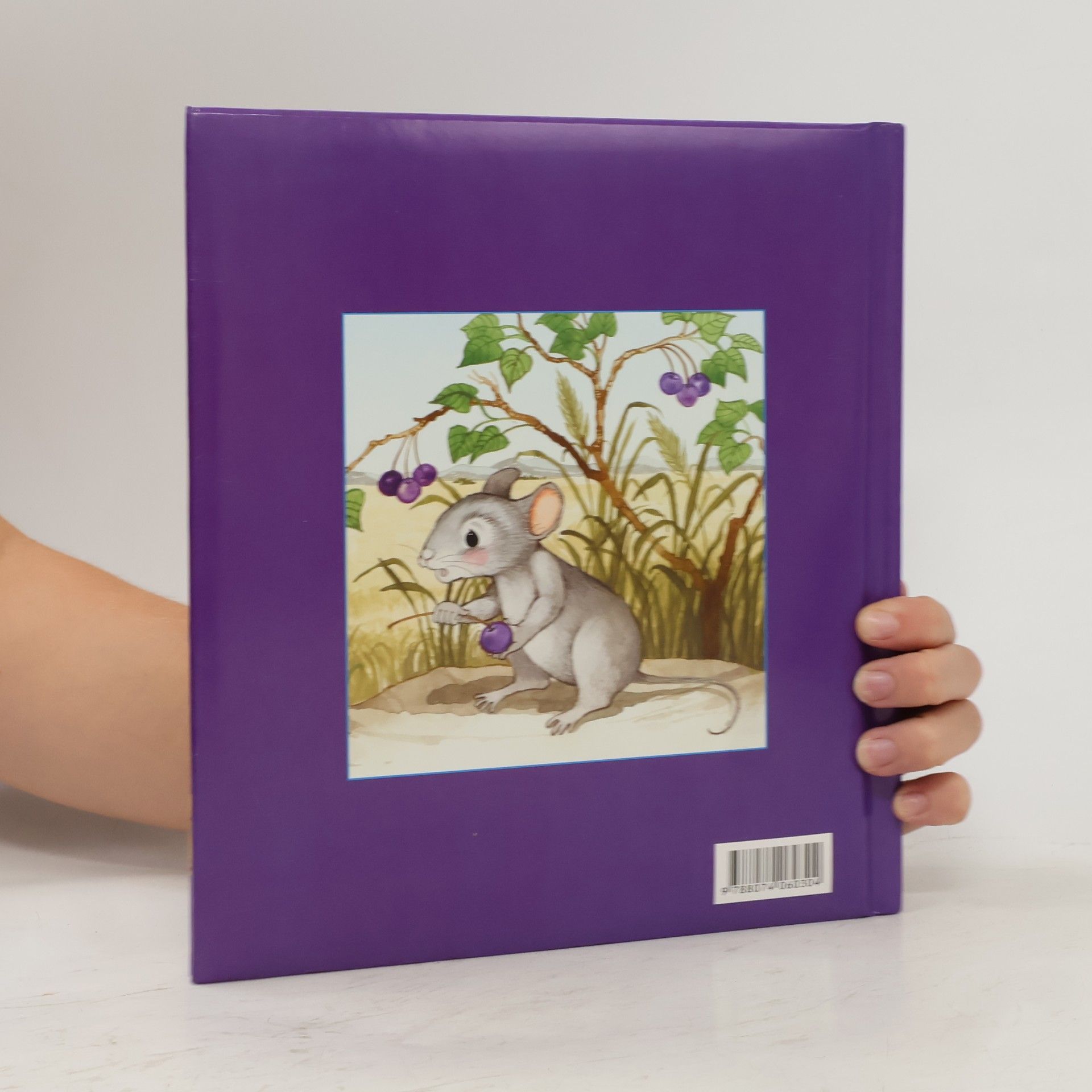 Autorenkollektiv O lvu a myšce. Příběh o pomoci druhým