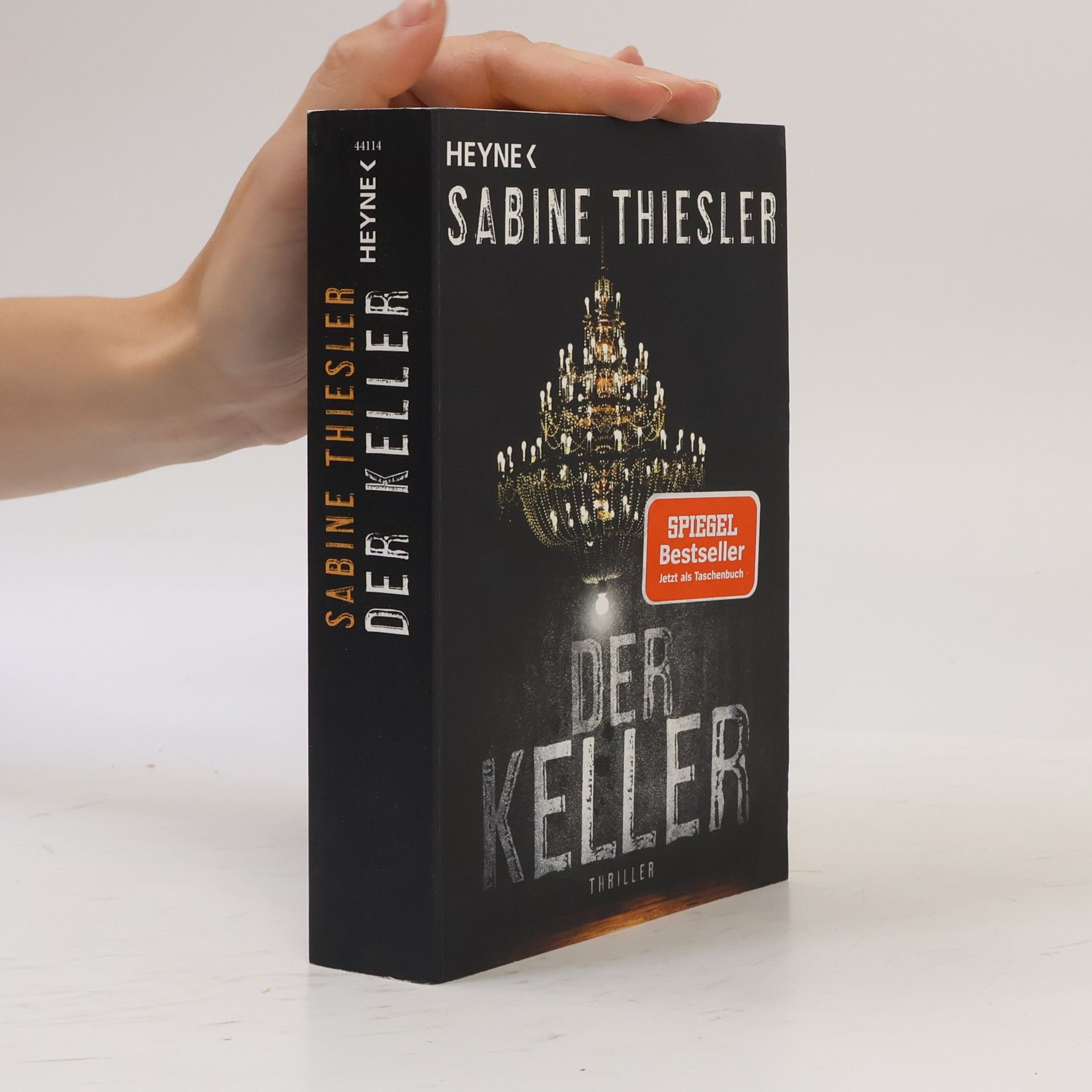 Sabine Thiesler Der Keller
