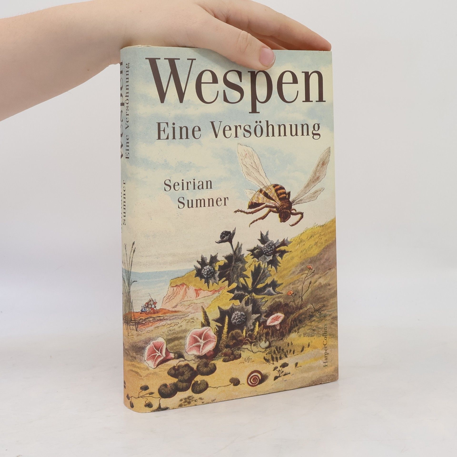 Seirian Sumner Wespen – Eine Versöhnung