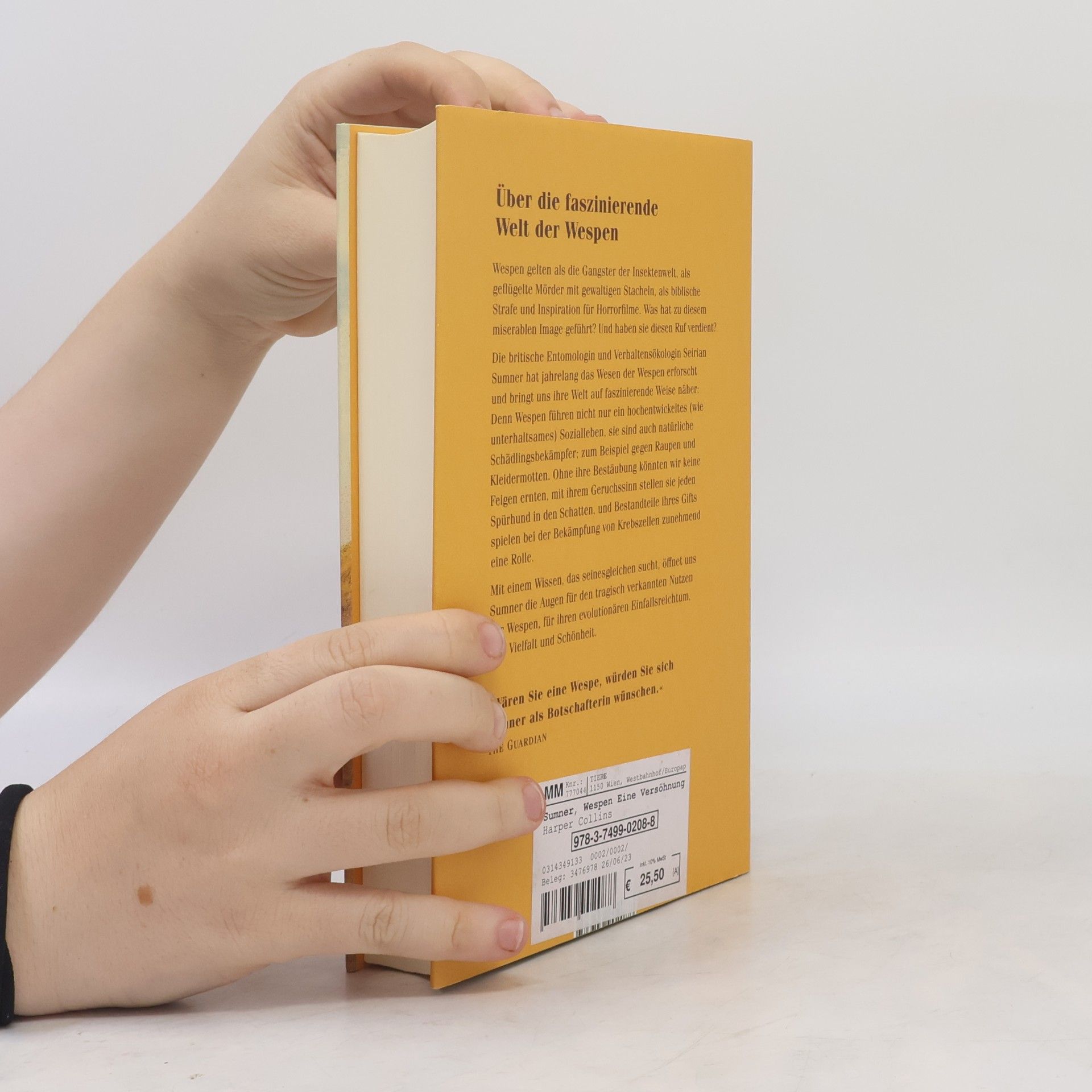 Seirian Sumner Wespen – Eine Versöhnung