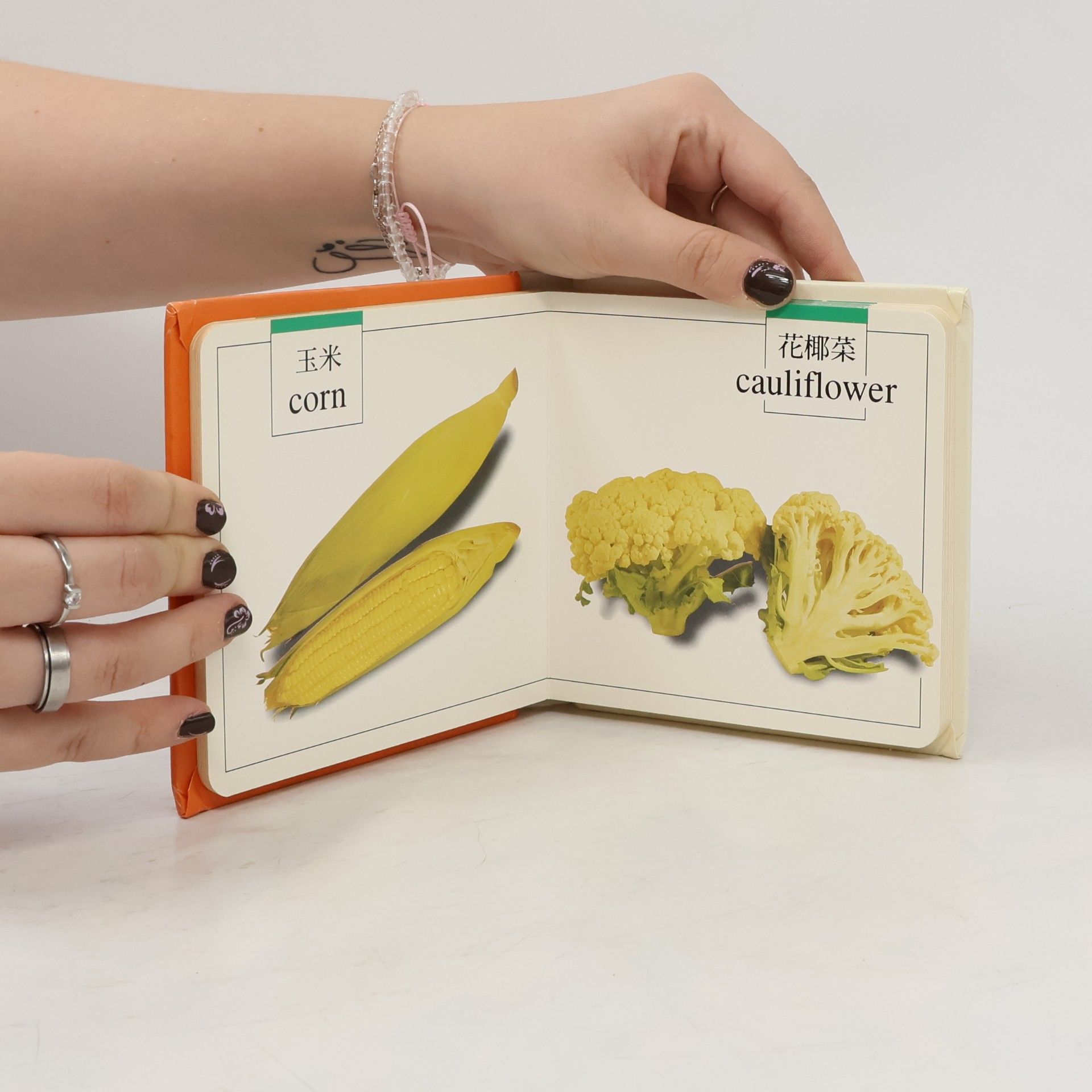 Various authors Vegetable 蔬菜