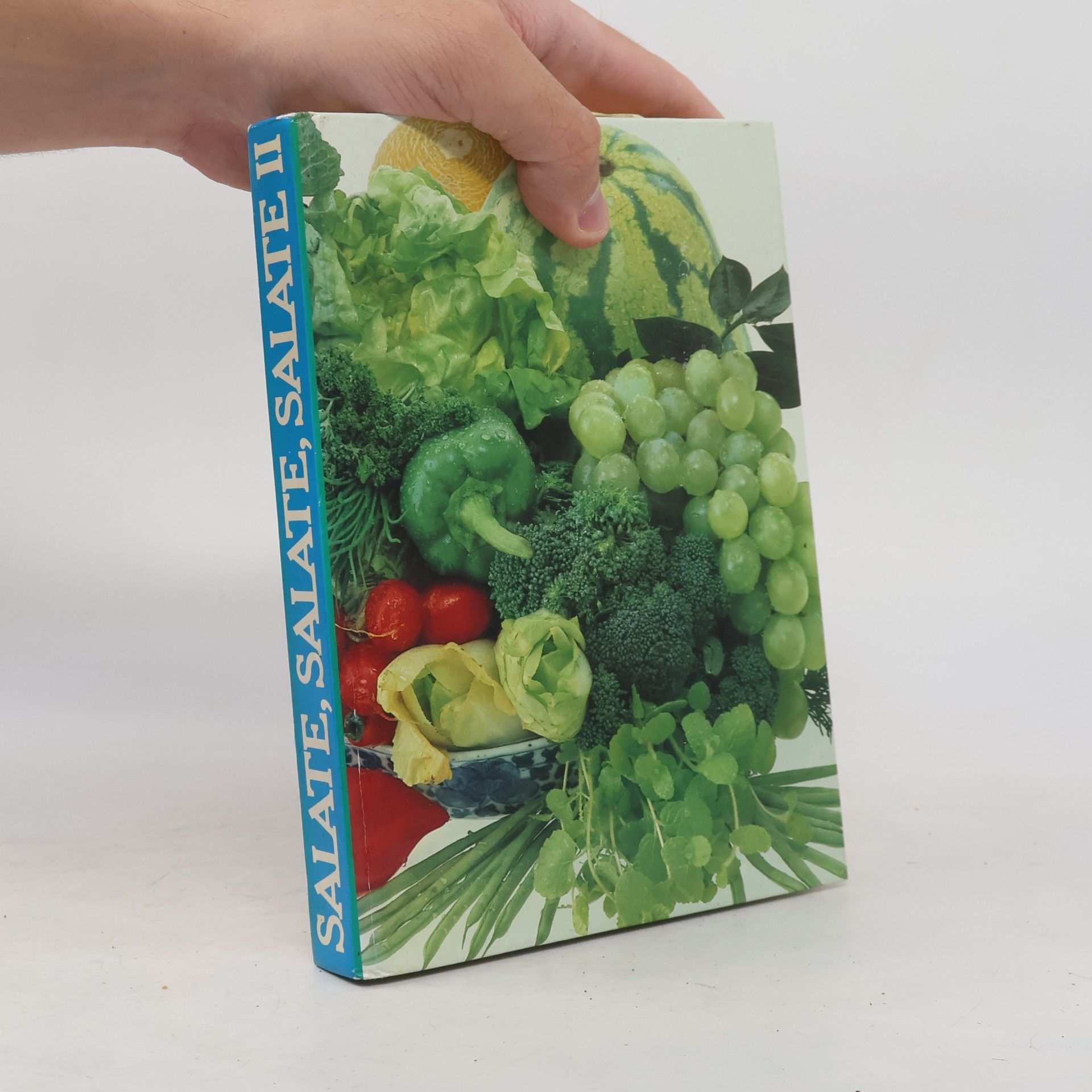 Autorenkollektiv Salate, Salate, Salate II